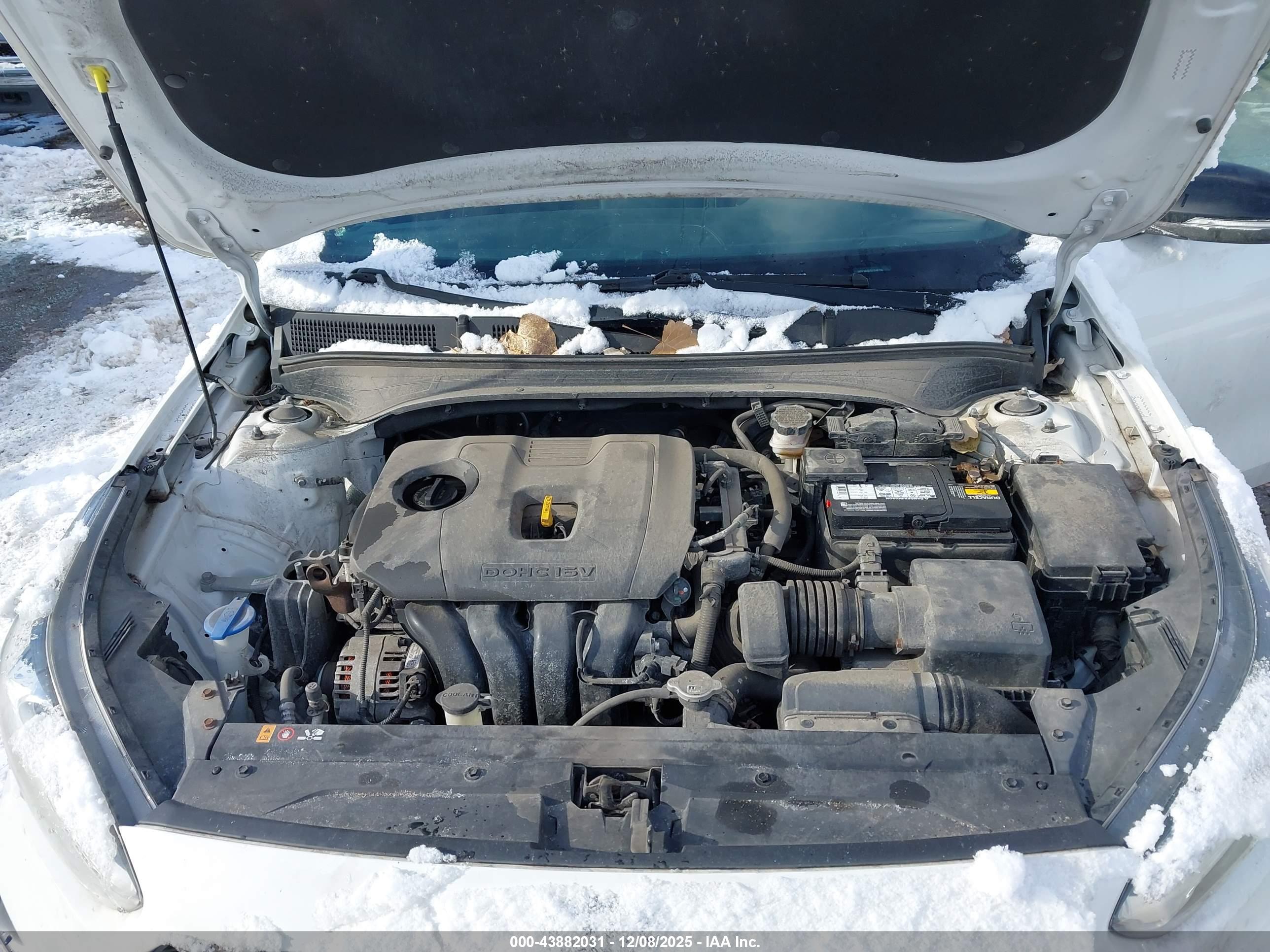 KIA FORTE image 10