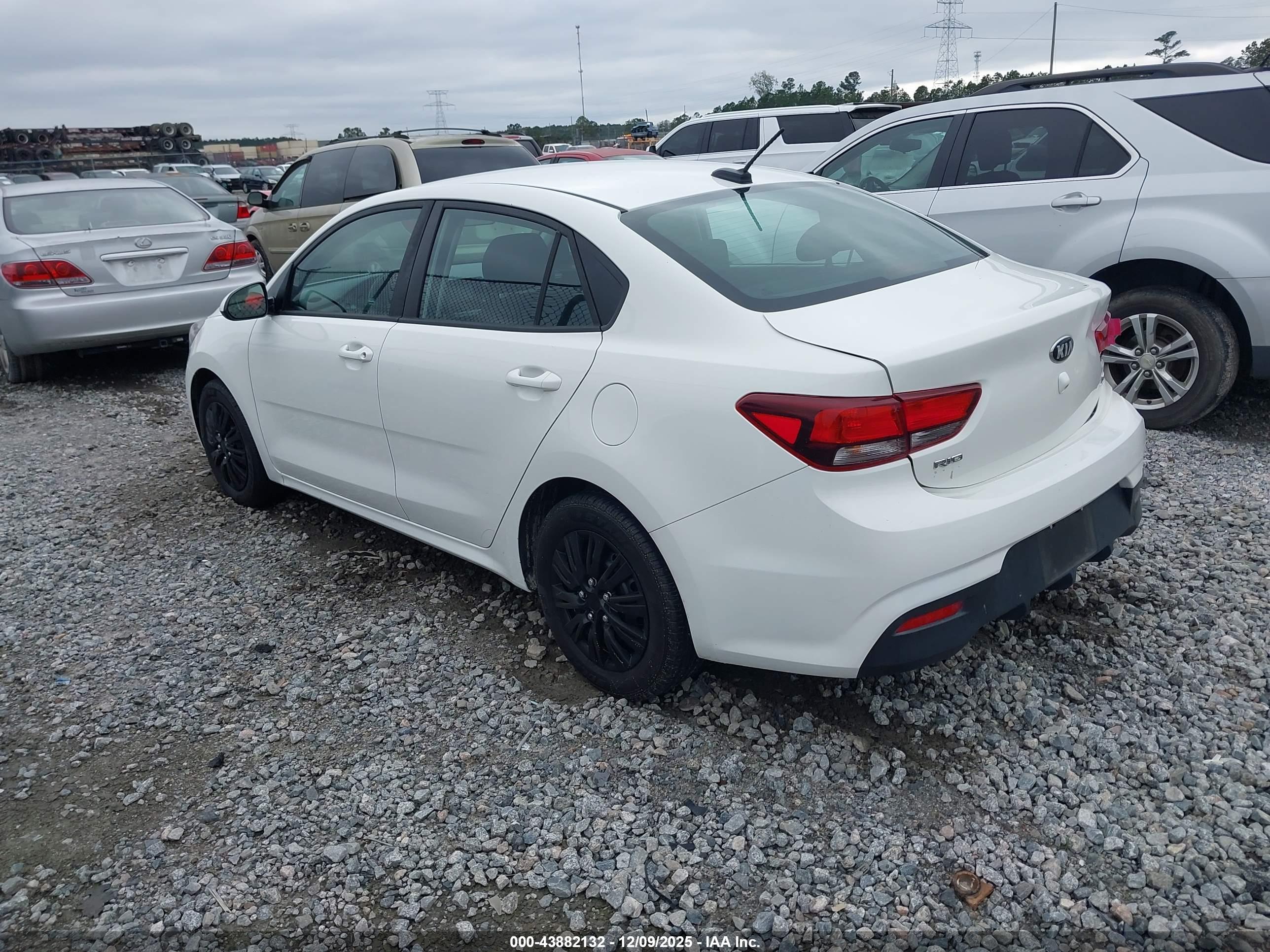 KIA RIO image 3