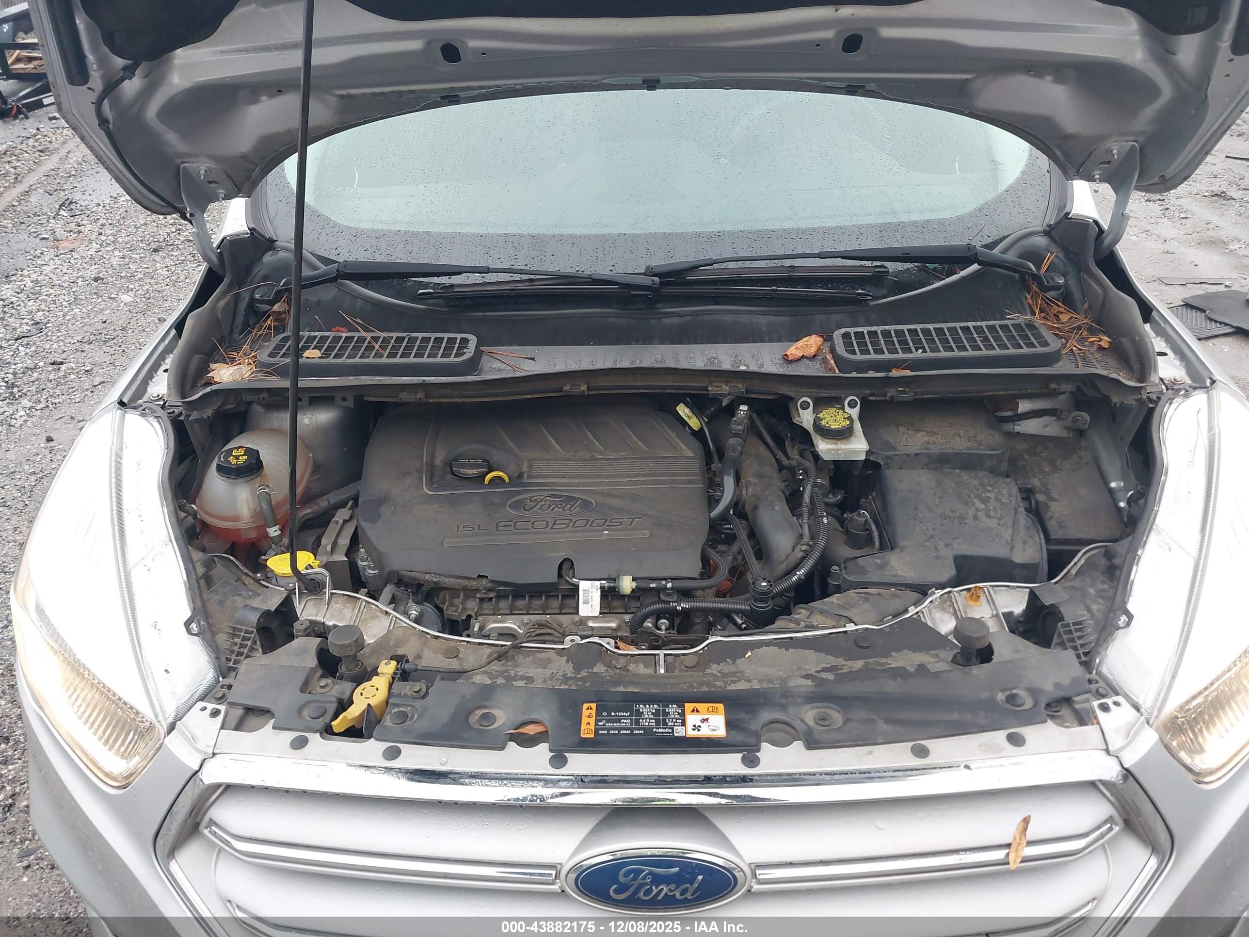 FORD ESCAPE image 10