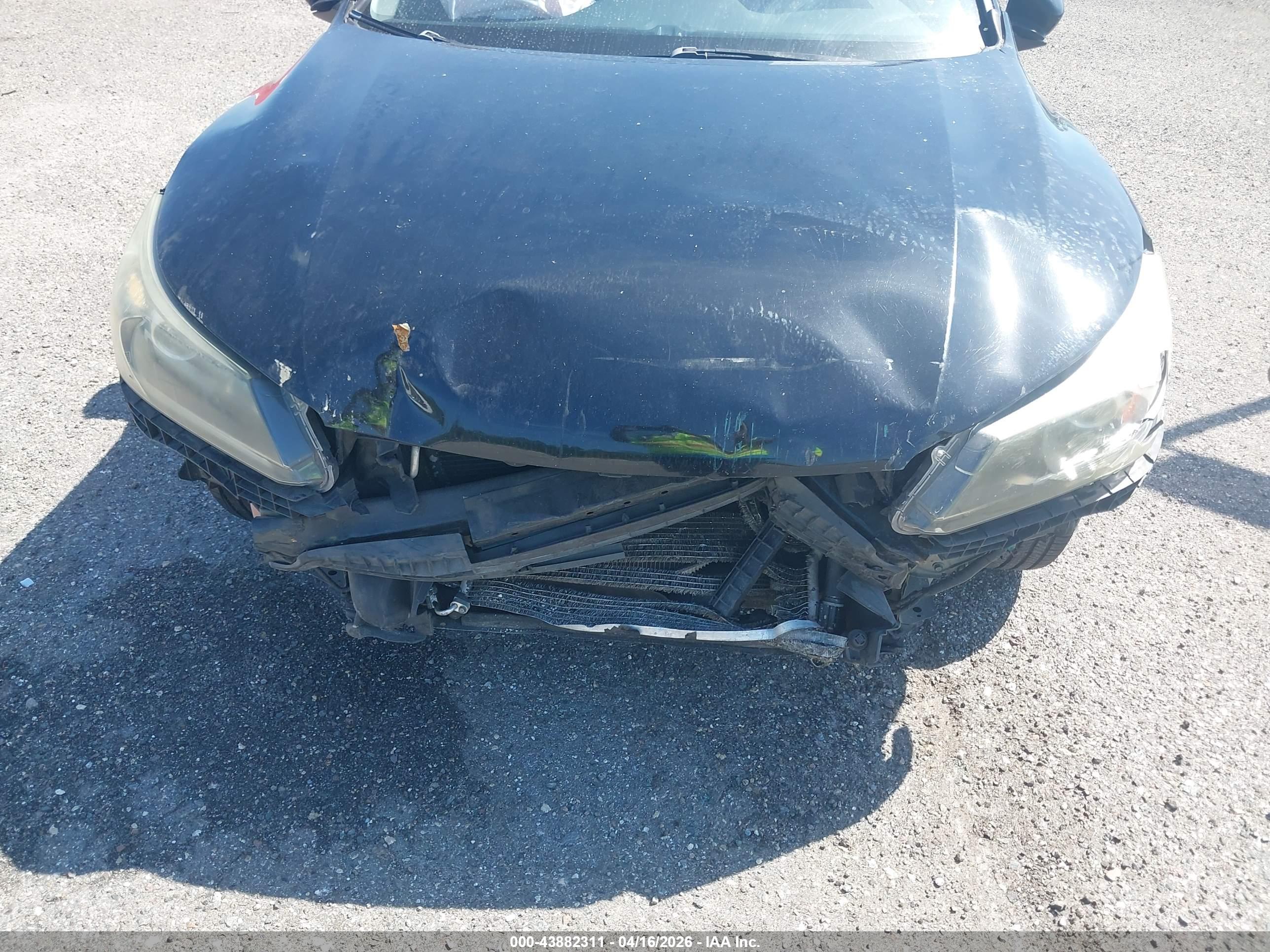HONDA ACCORD image 6