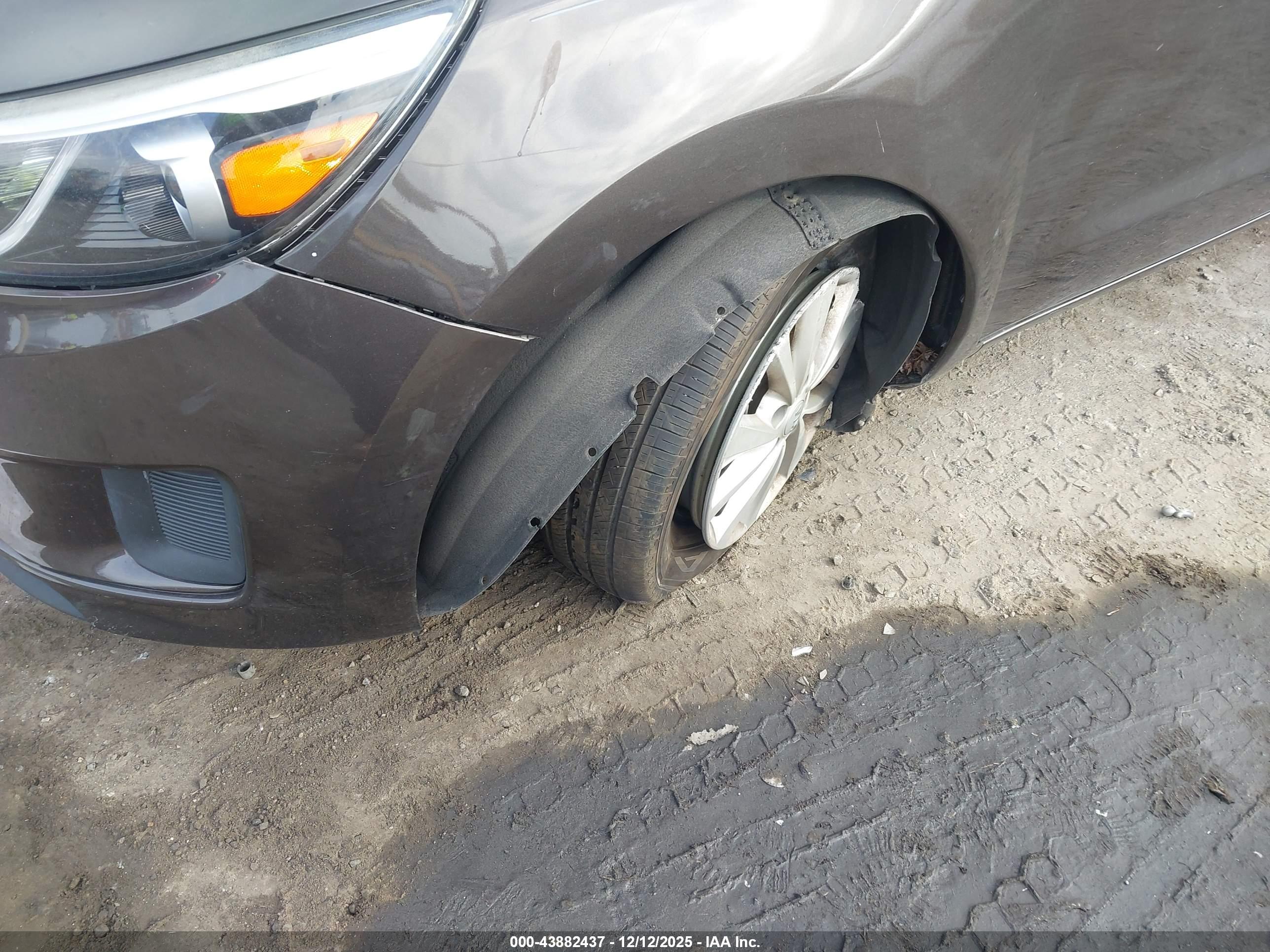 KIA SEDONA image 6