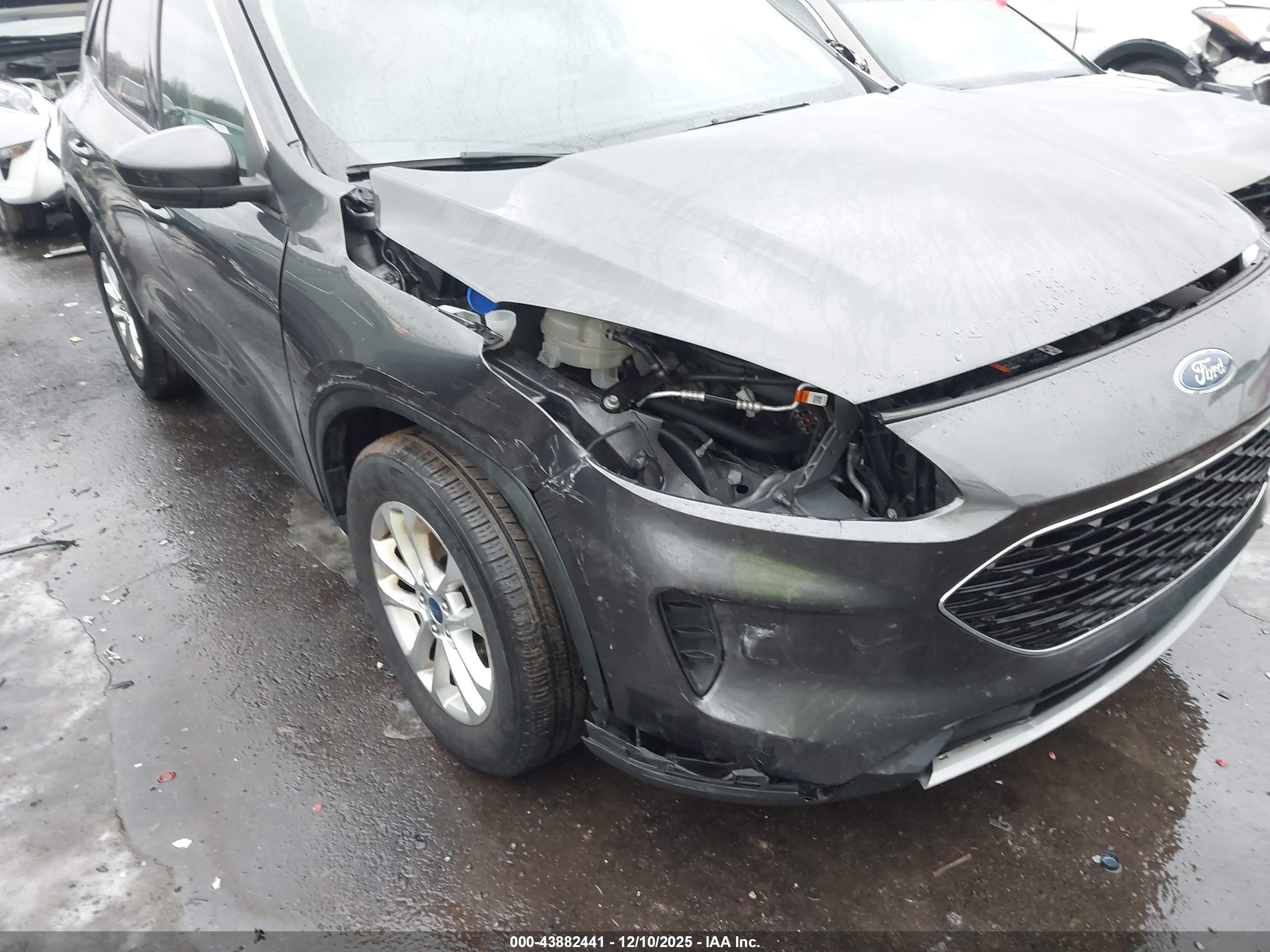 FORD ESCAPE image 6