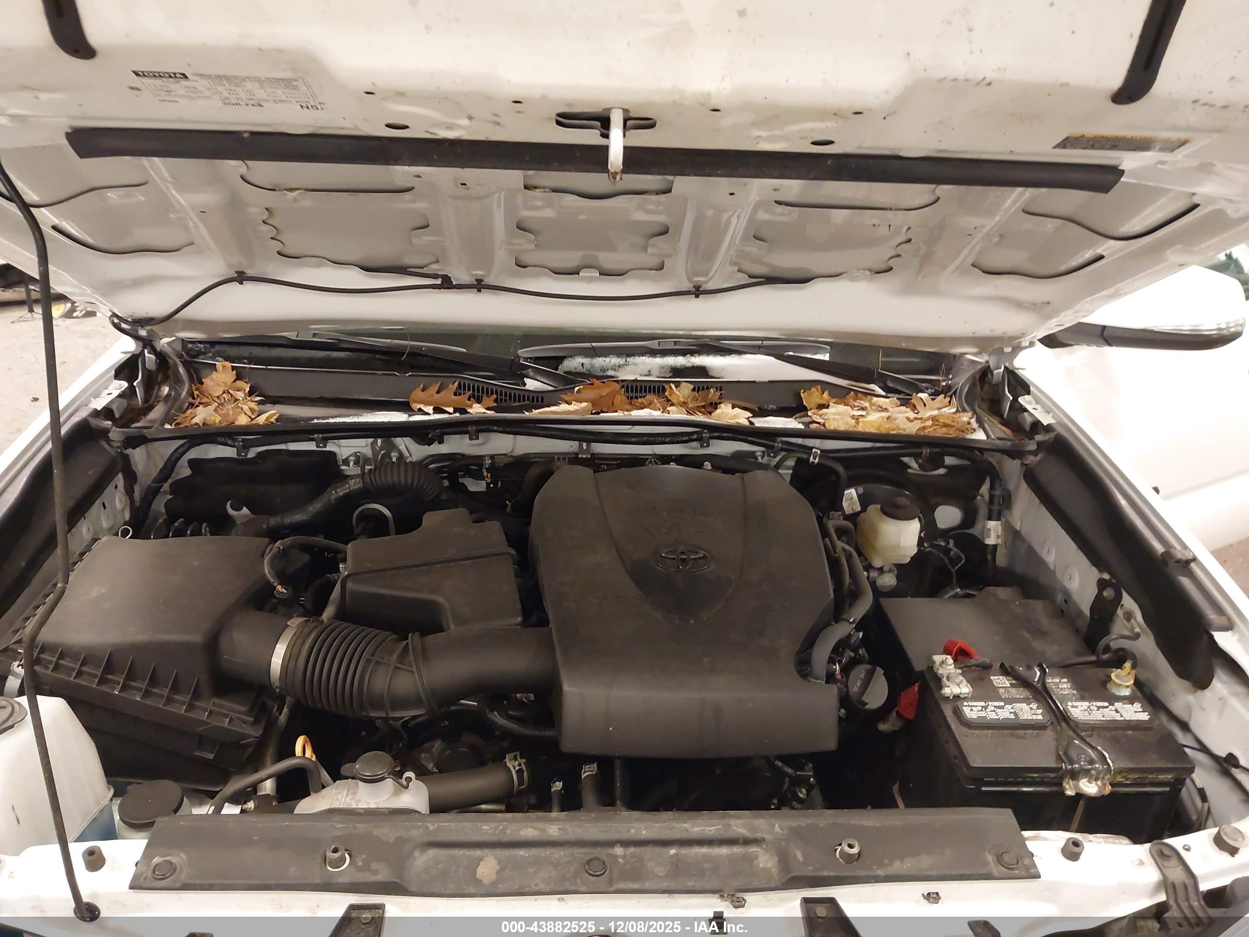 TOYOTA TACOMA image 10