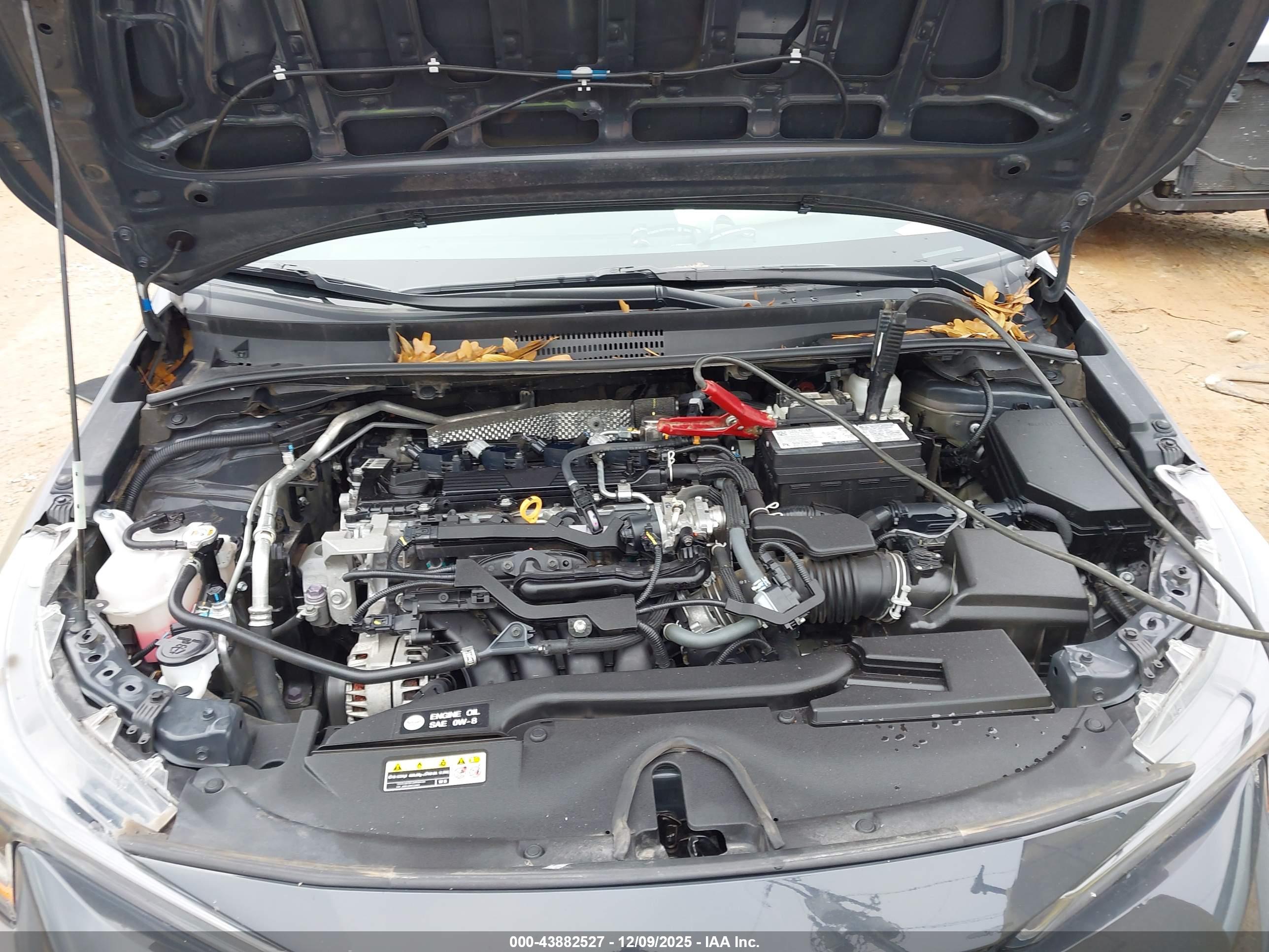 TOYOTA COROLLA image 10