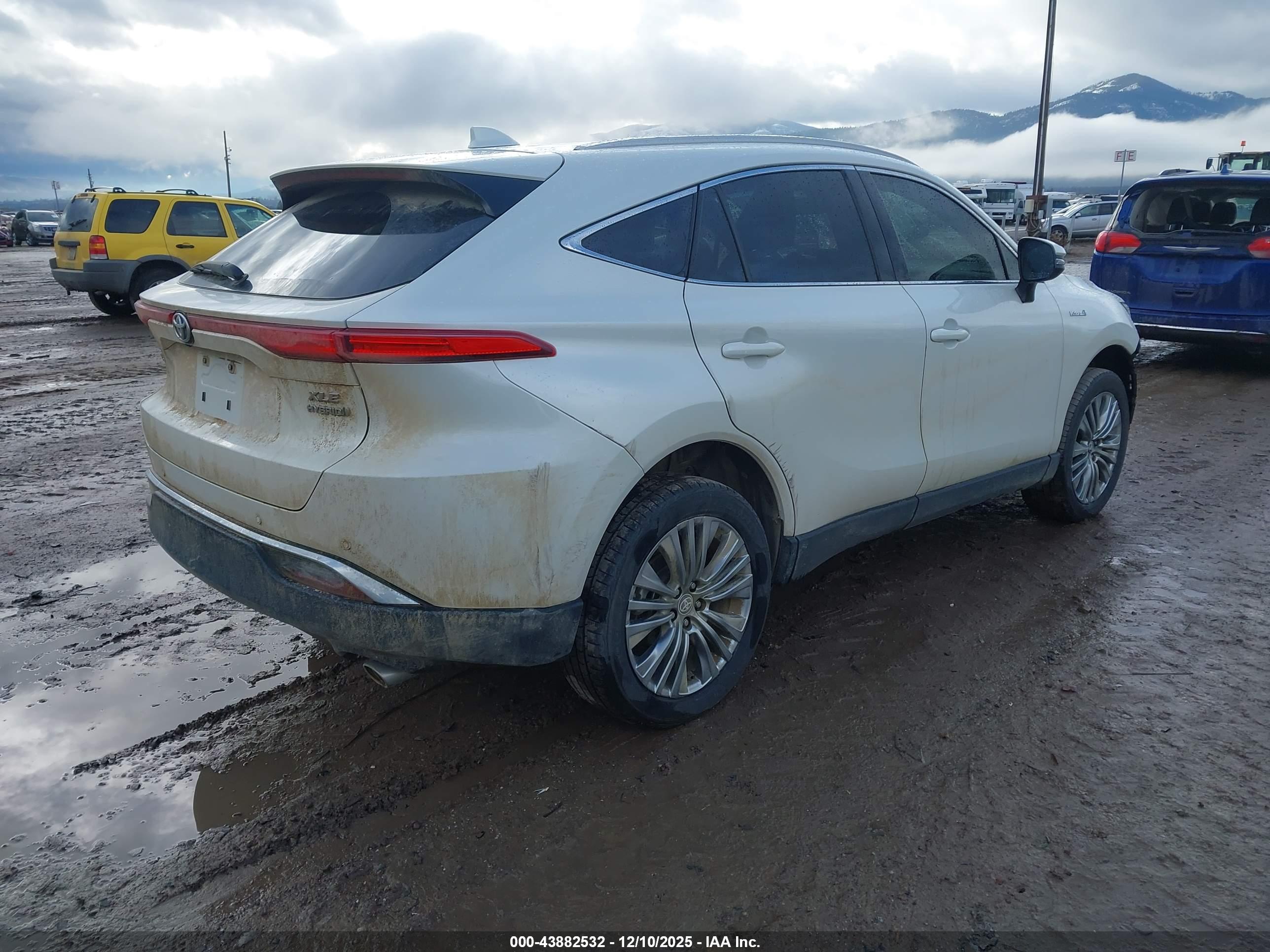TOYOTA VENZA image 4