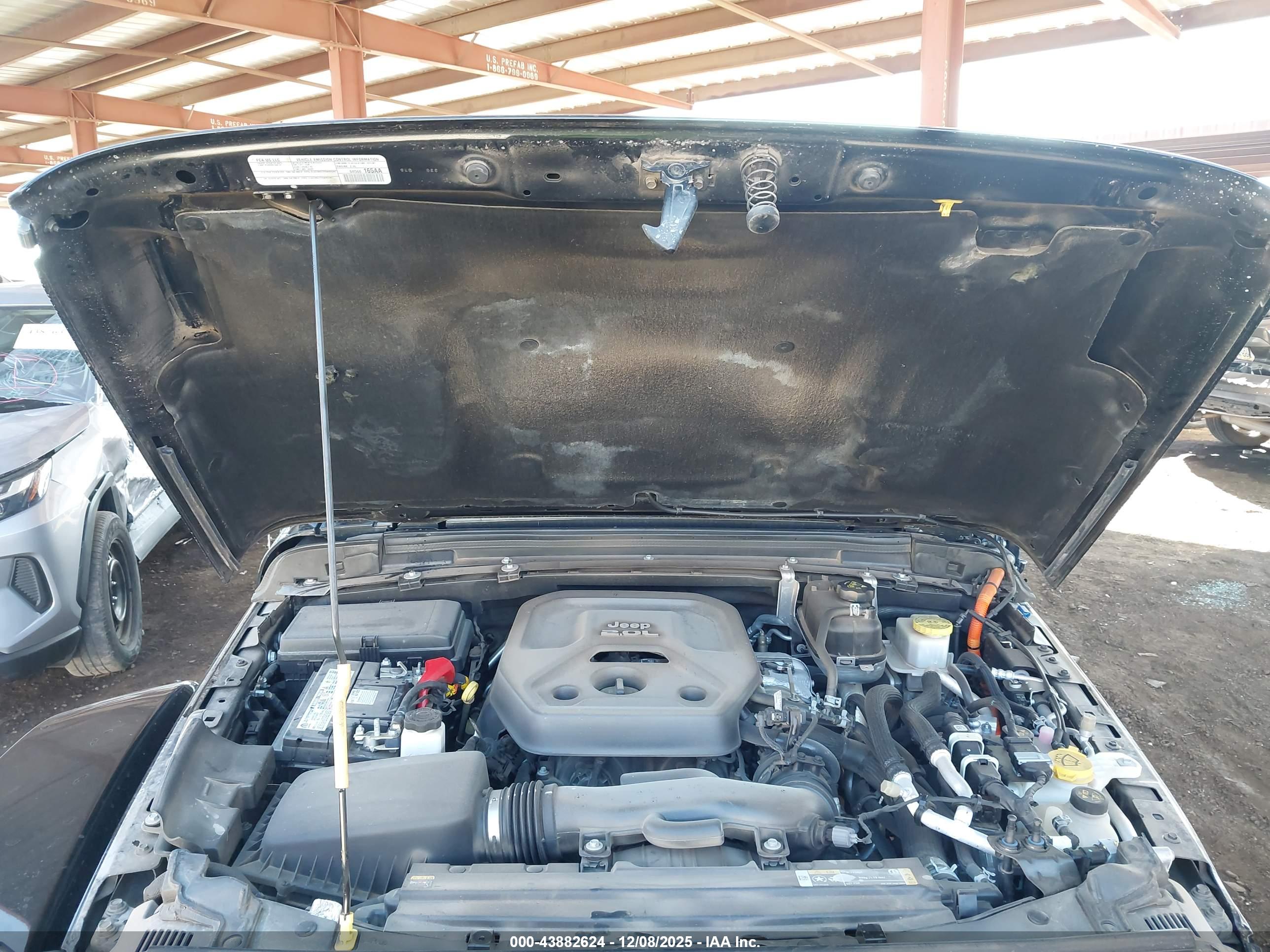 JEEP WRANGLER image 10
