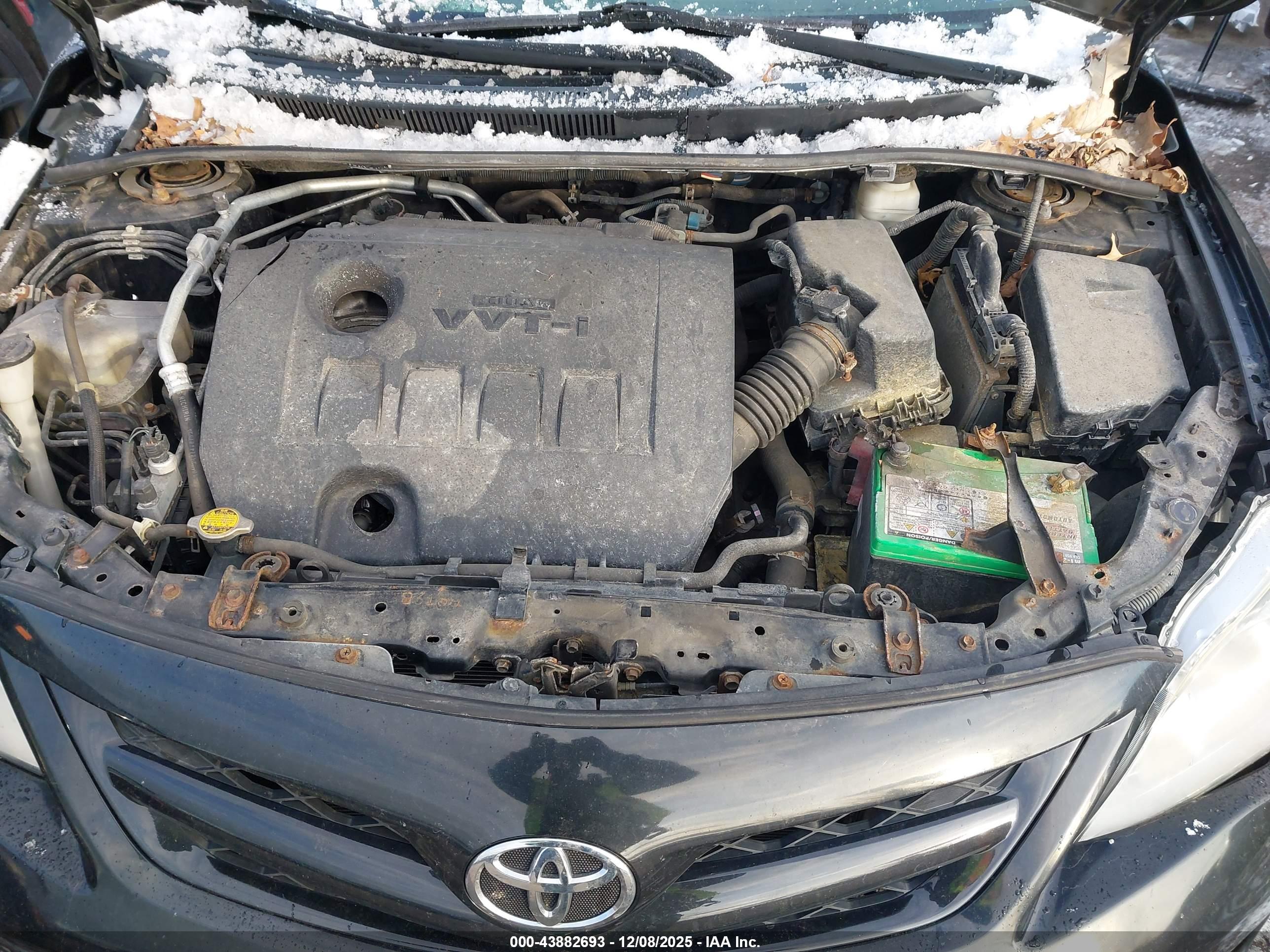 TOYOTA COROLLA image 10