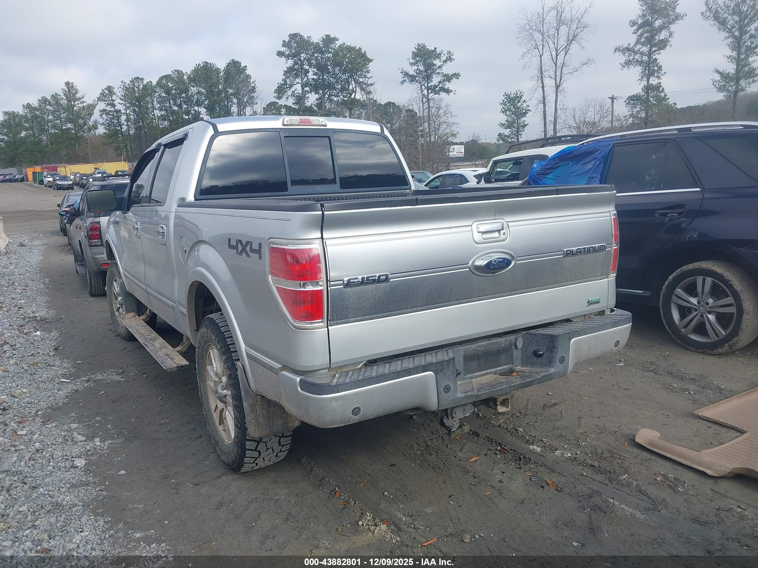 FORD F-150 image 3