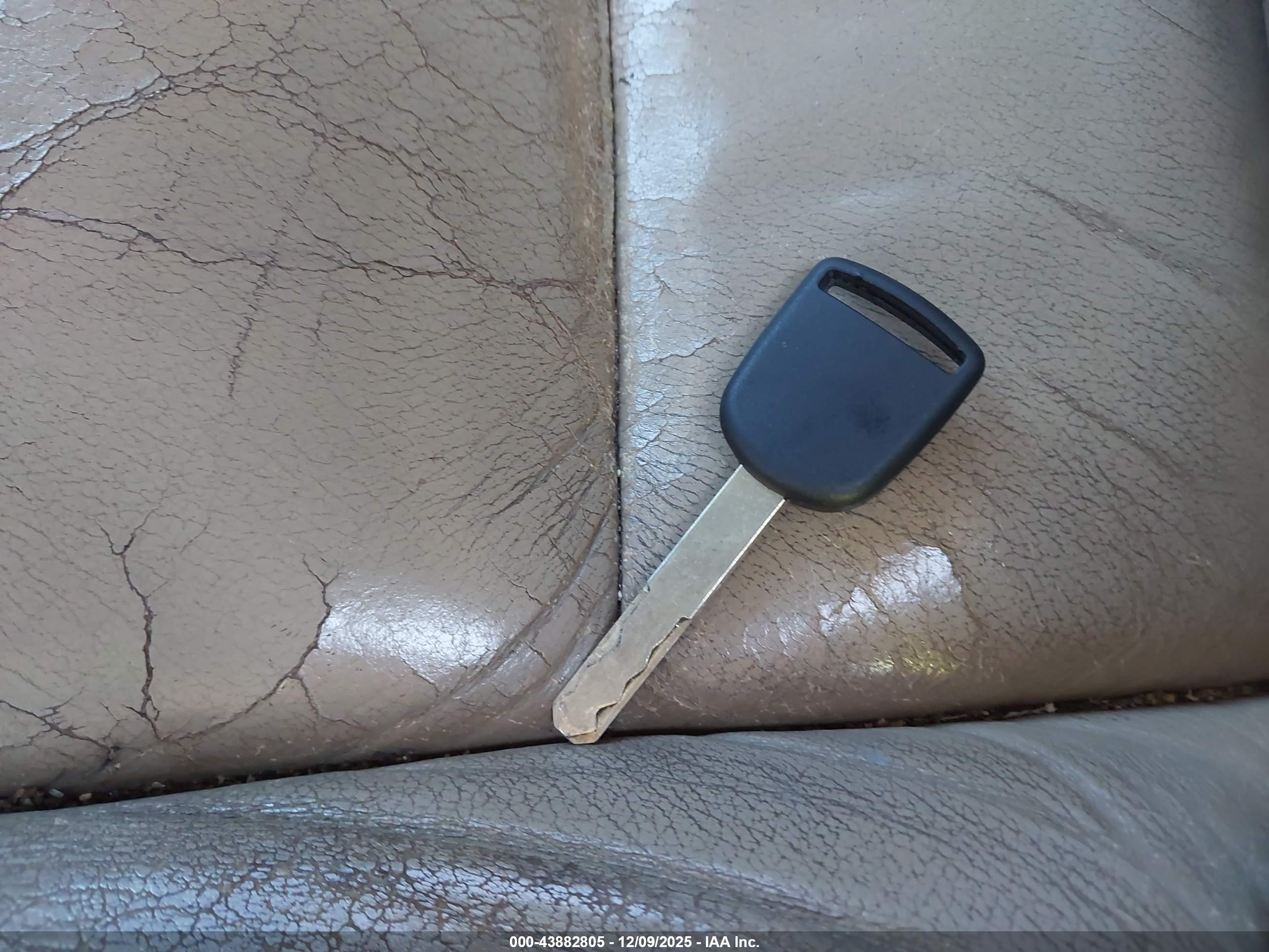 HONDA ACCORD image 11