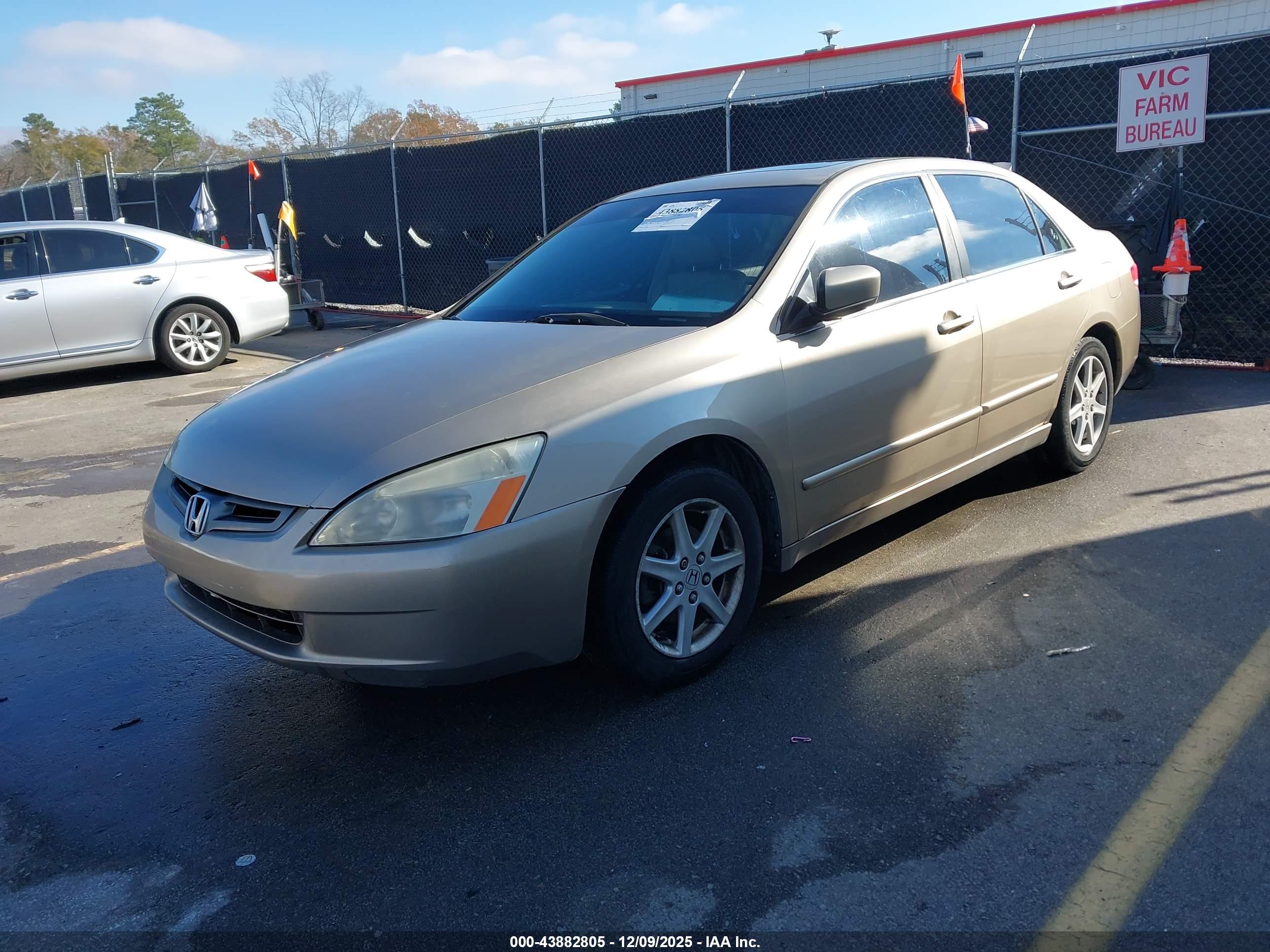 HONDA ACCORD image 2