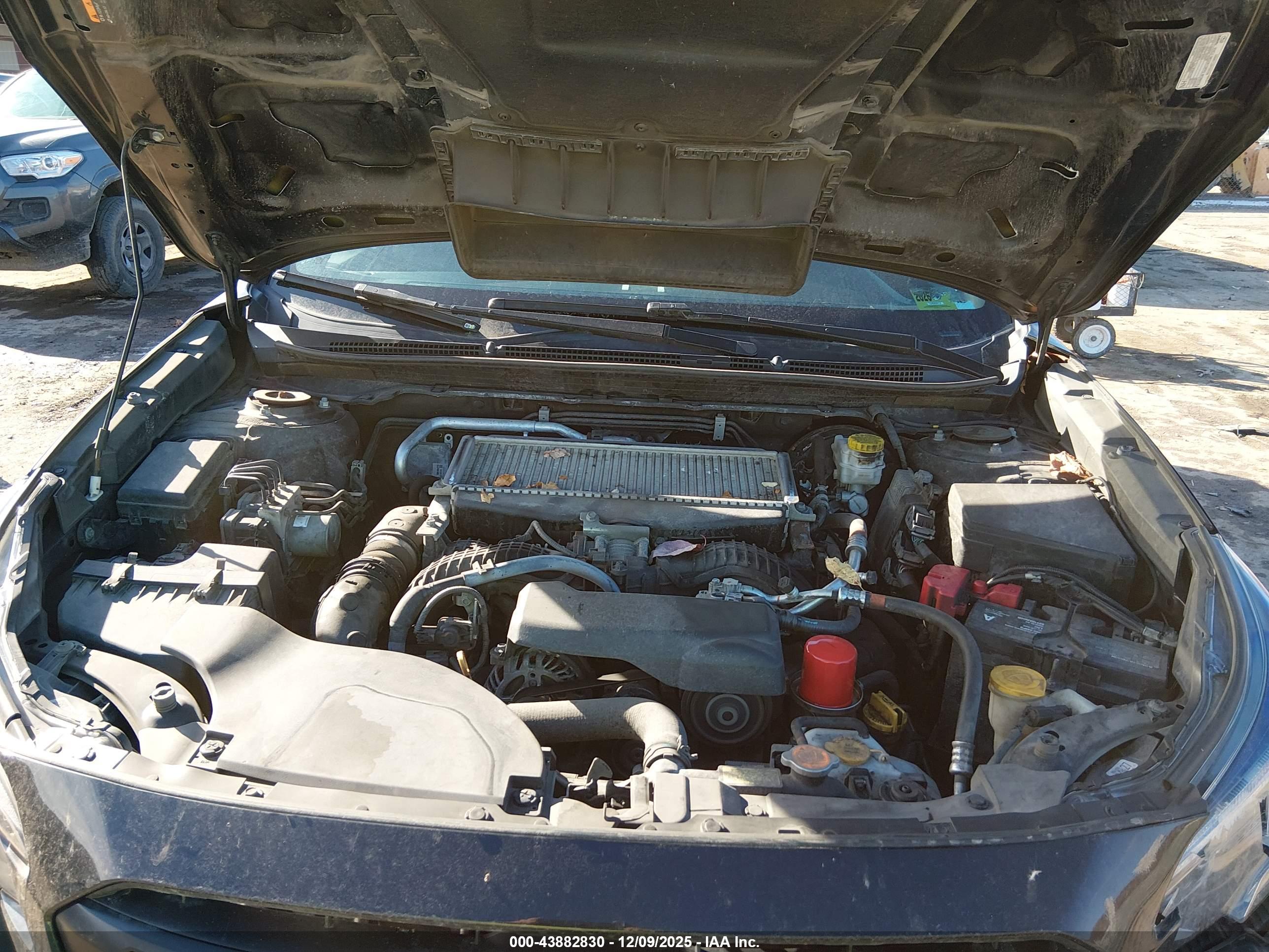 SUBARU OUTBACK image 10