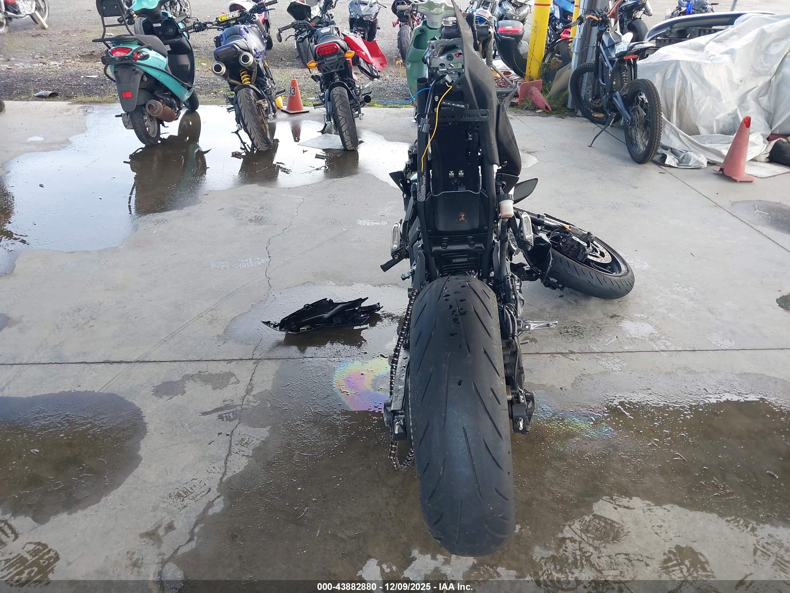 YAMAHA YZFR7 image 6