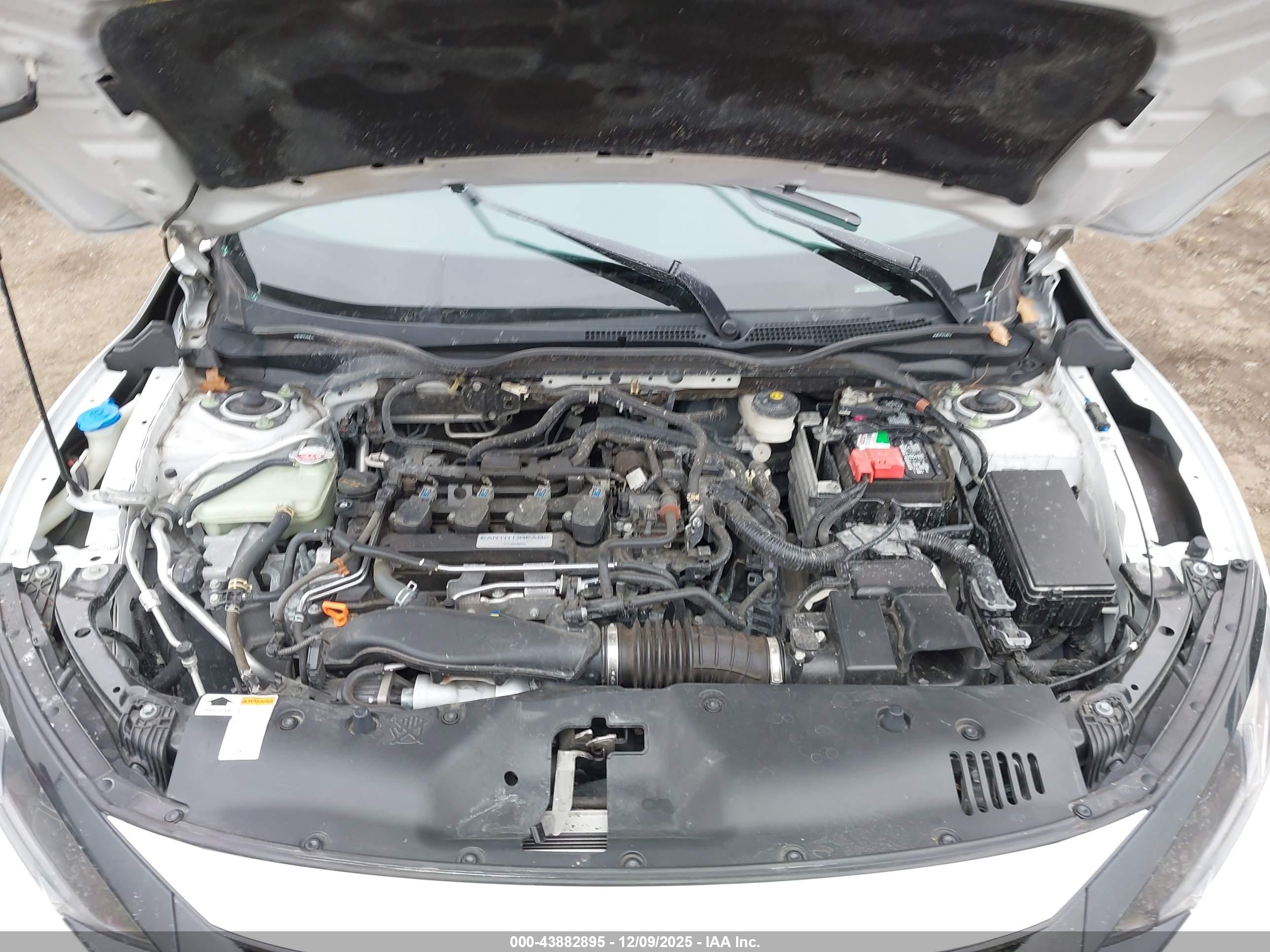 HONDA CIVIC image 10