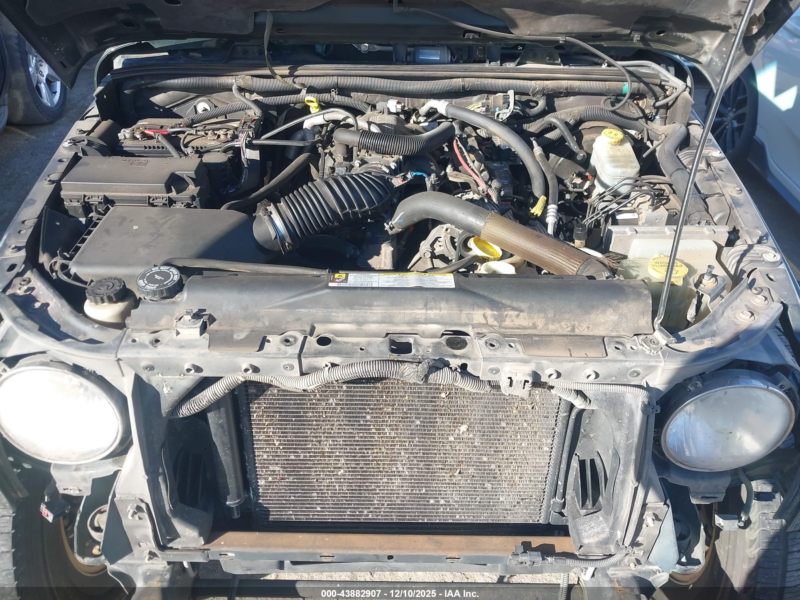 JEEP WRANGLER image 10