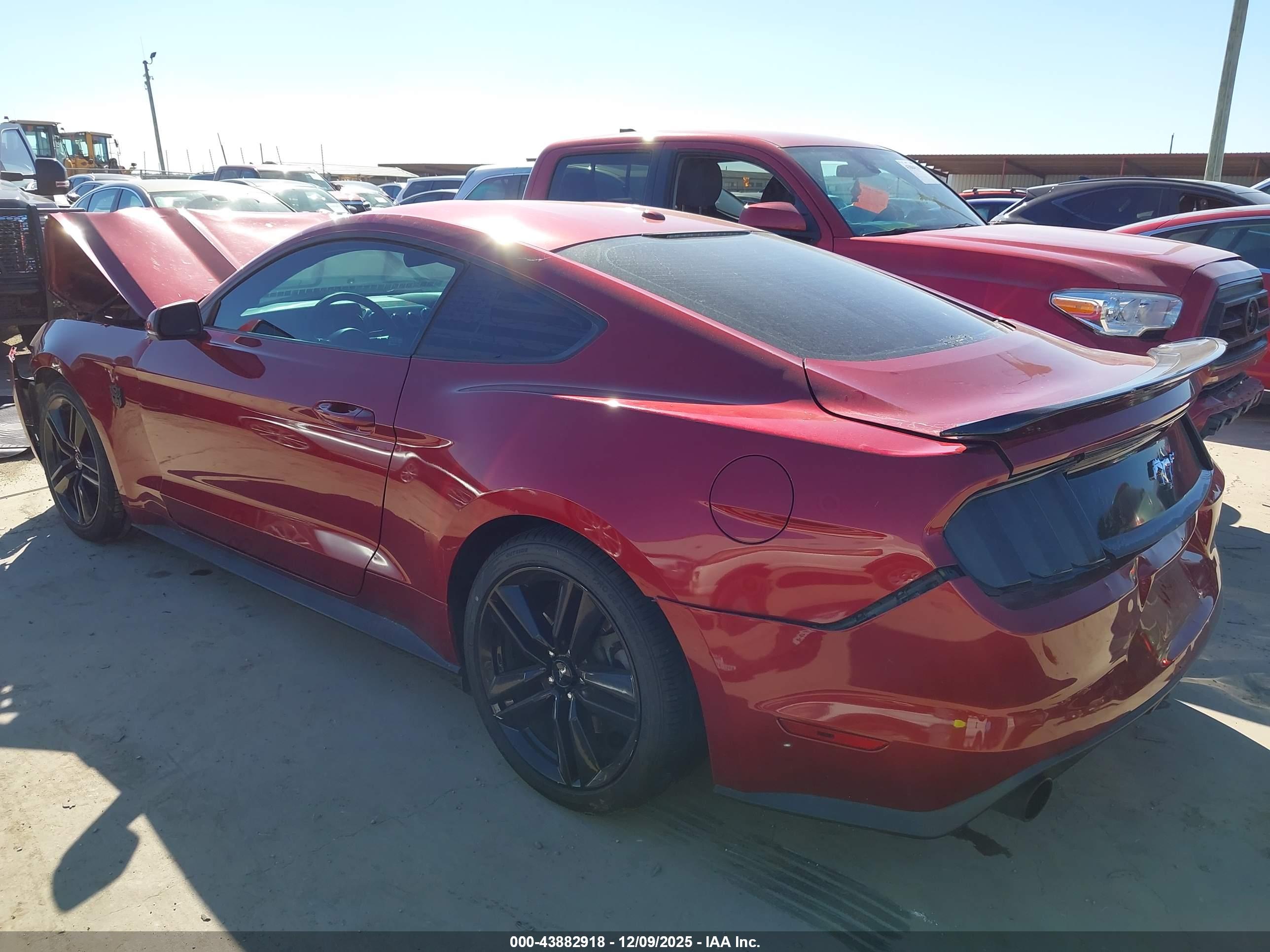 FORD MUSTANG image 3