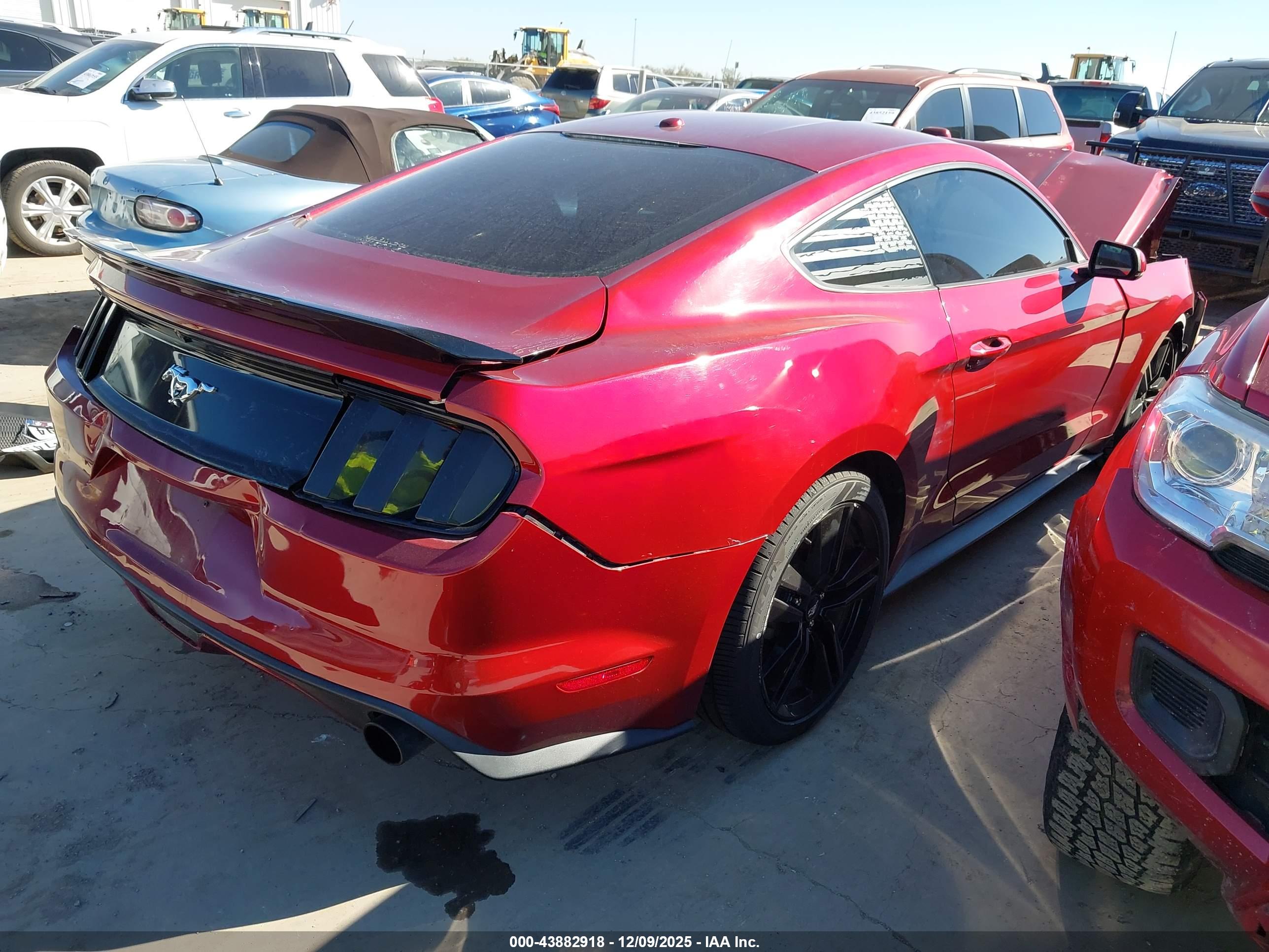FORD MUSTANG image 4