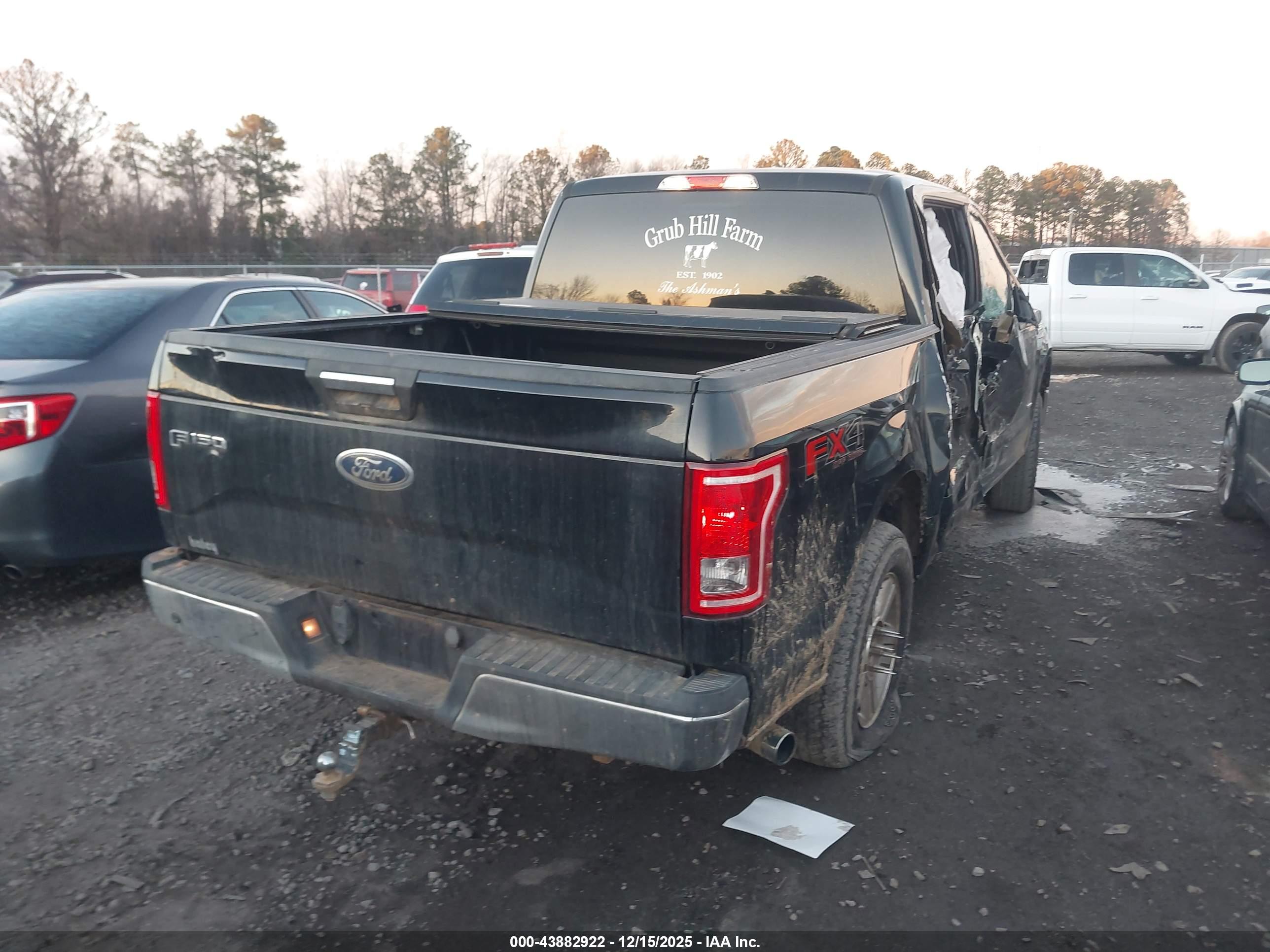 FORD F-150 image 4