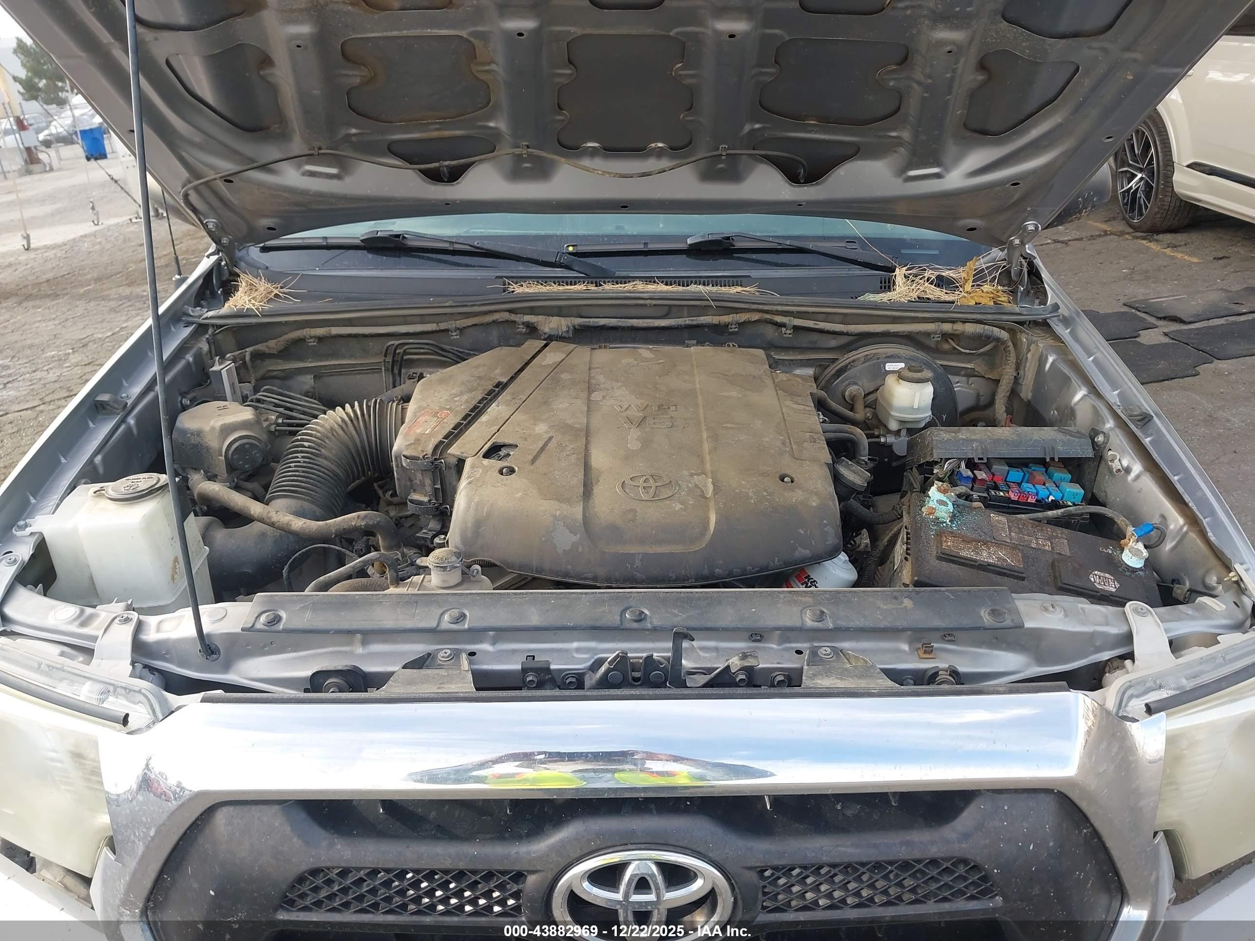 TOYOTA TACOMA image 10
