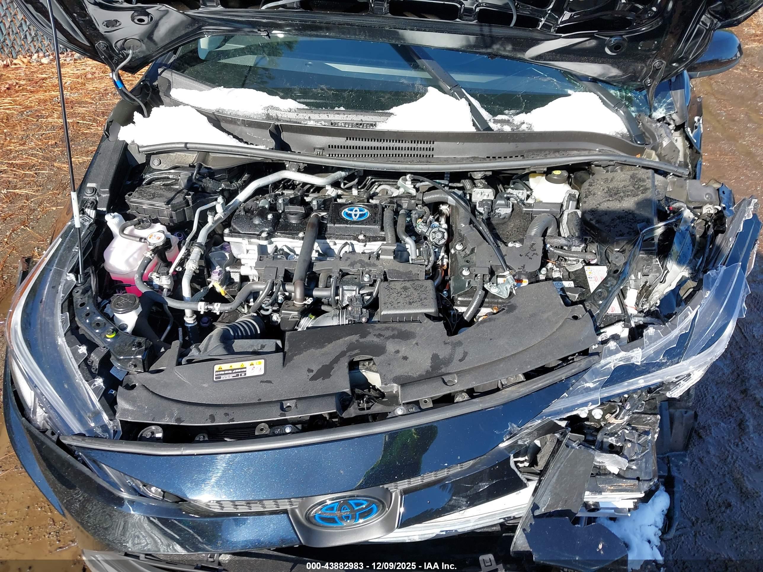 TOYOTA COROLLA image 10