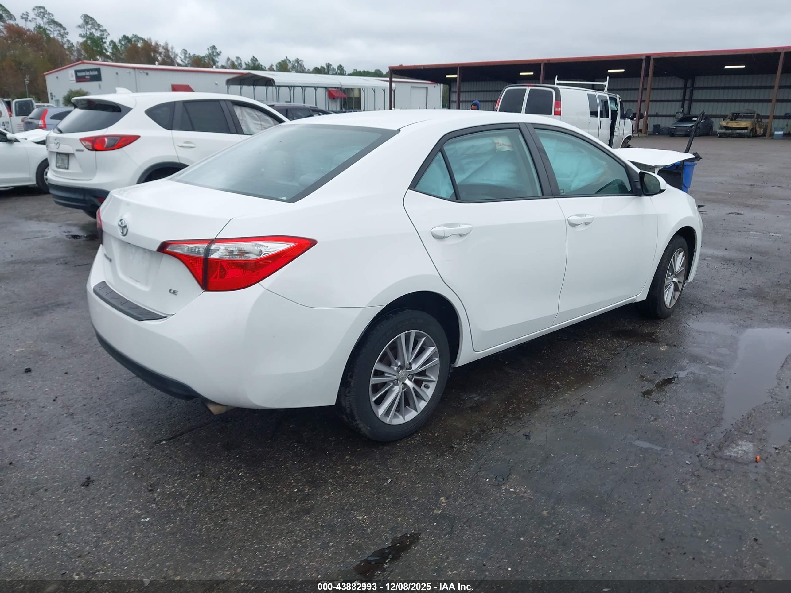TOYOTA COROLLA image 4