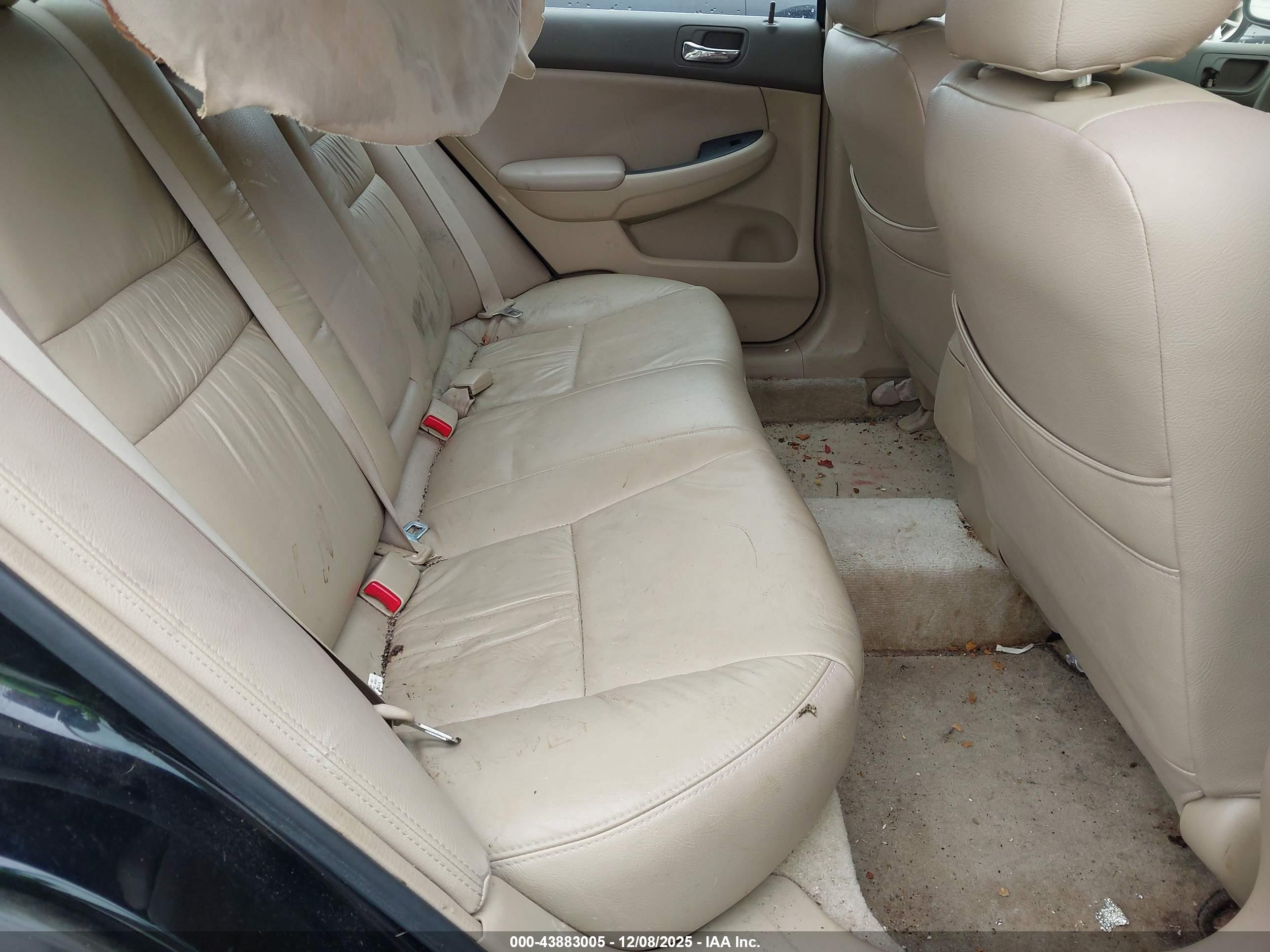 HONDA ACCORD image 8