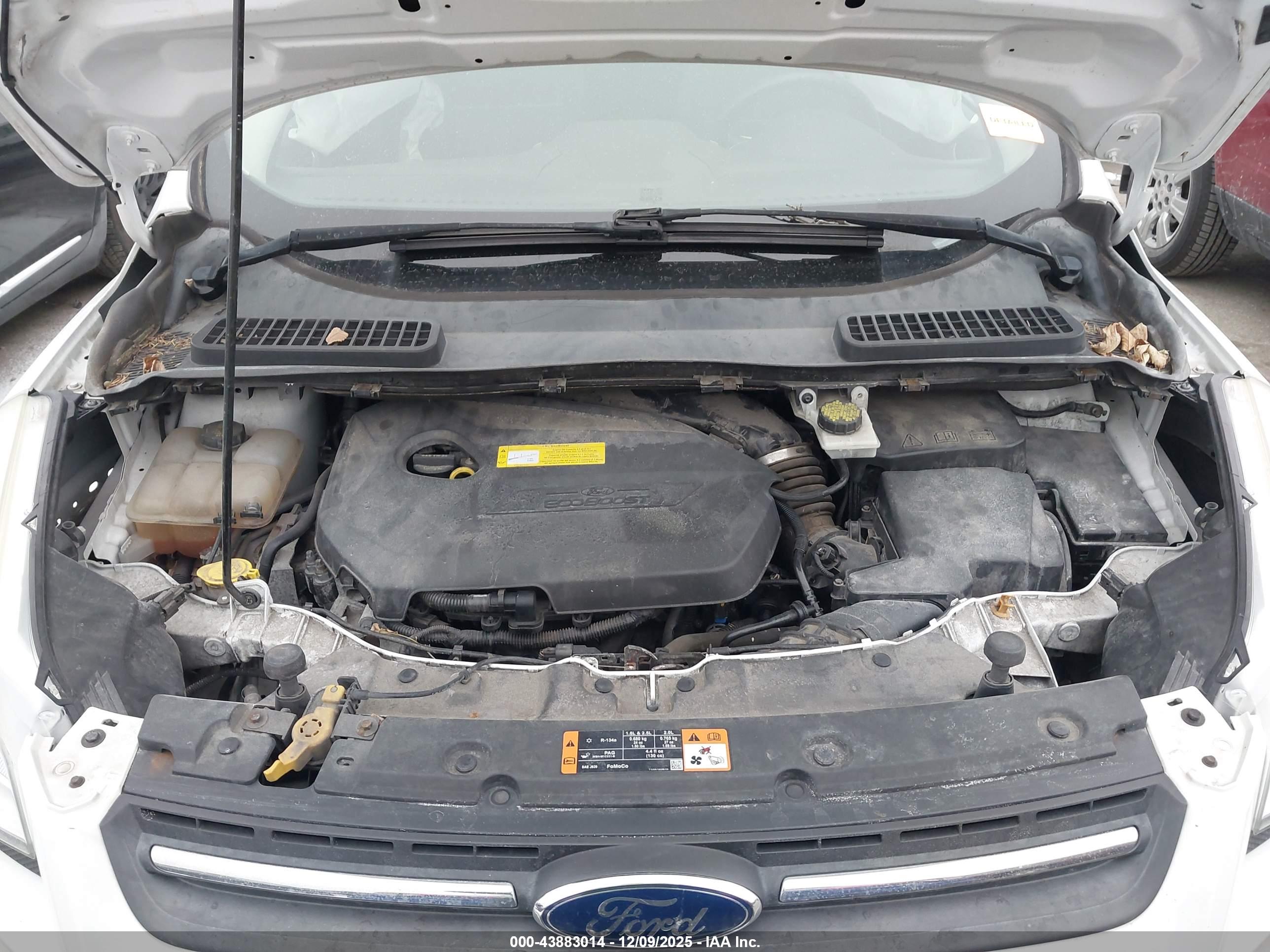 FORD ESCAPE image 10