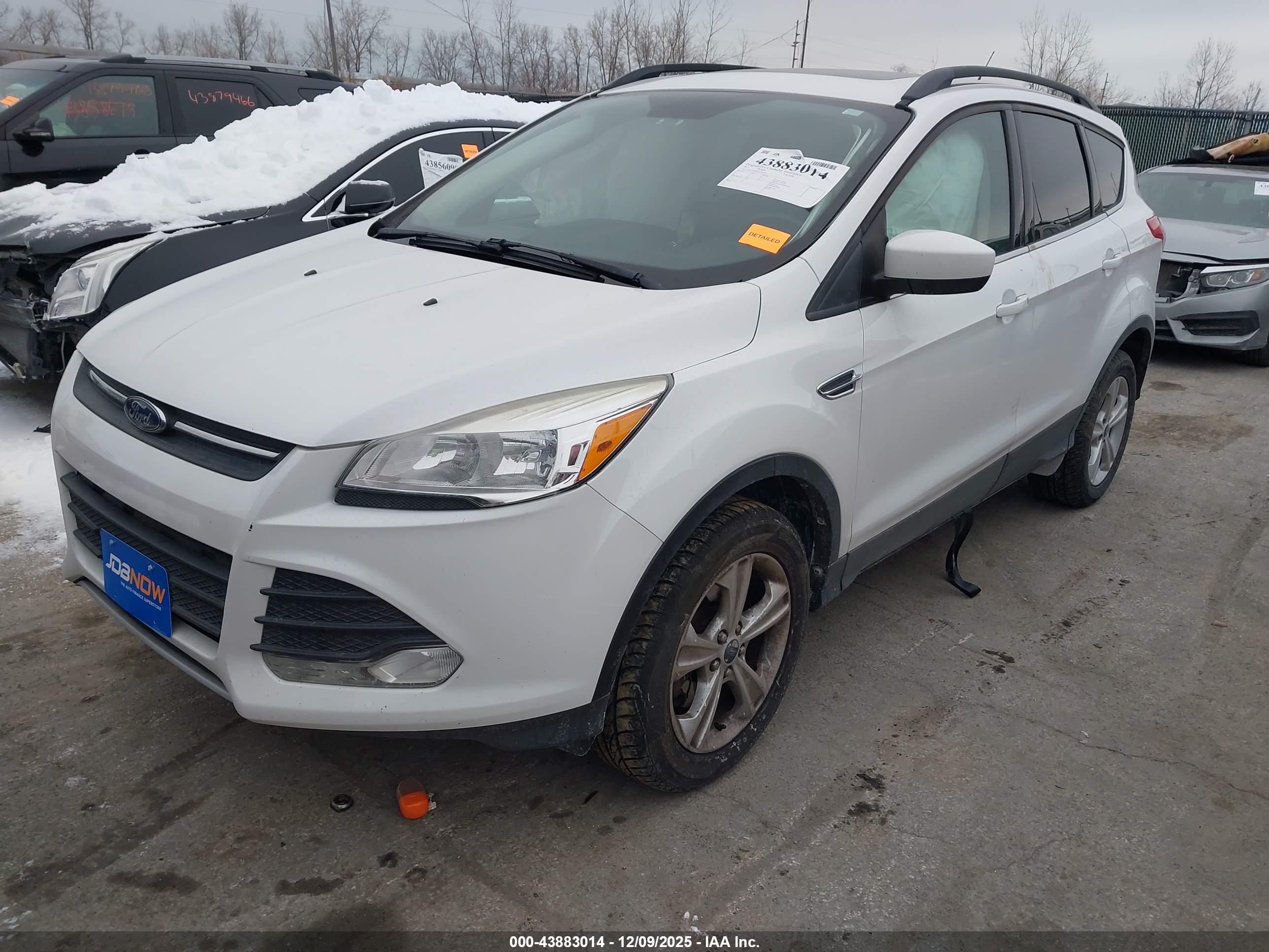 FORD ESCAPE image 2