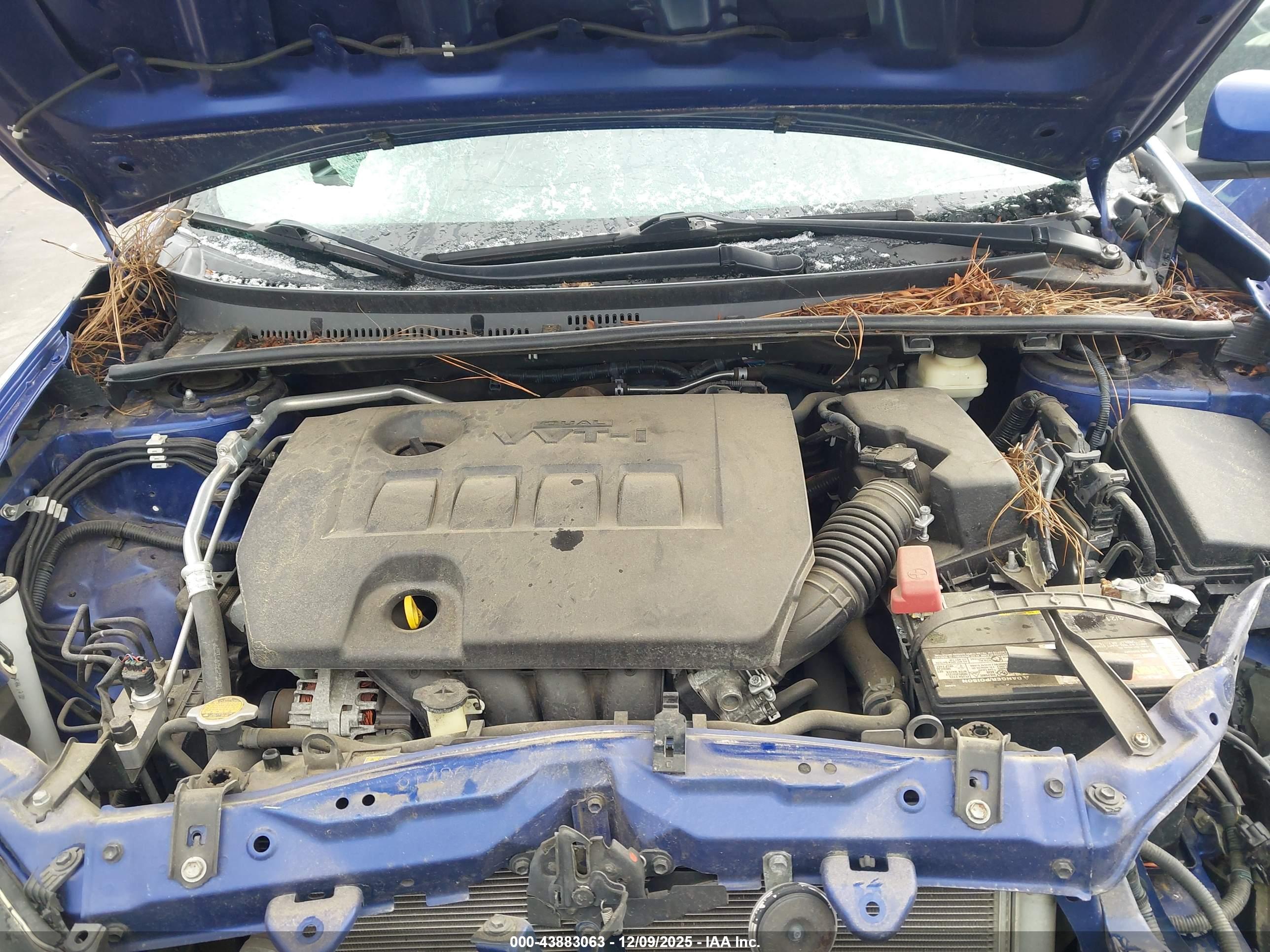 TOYOTA COROLLA image 10