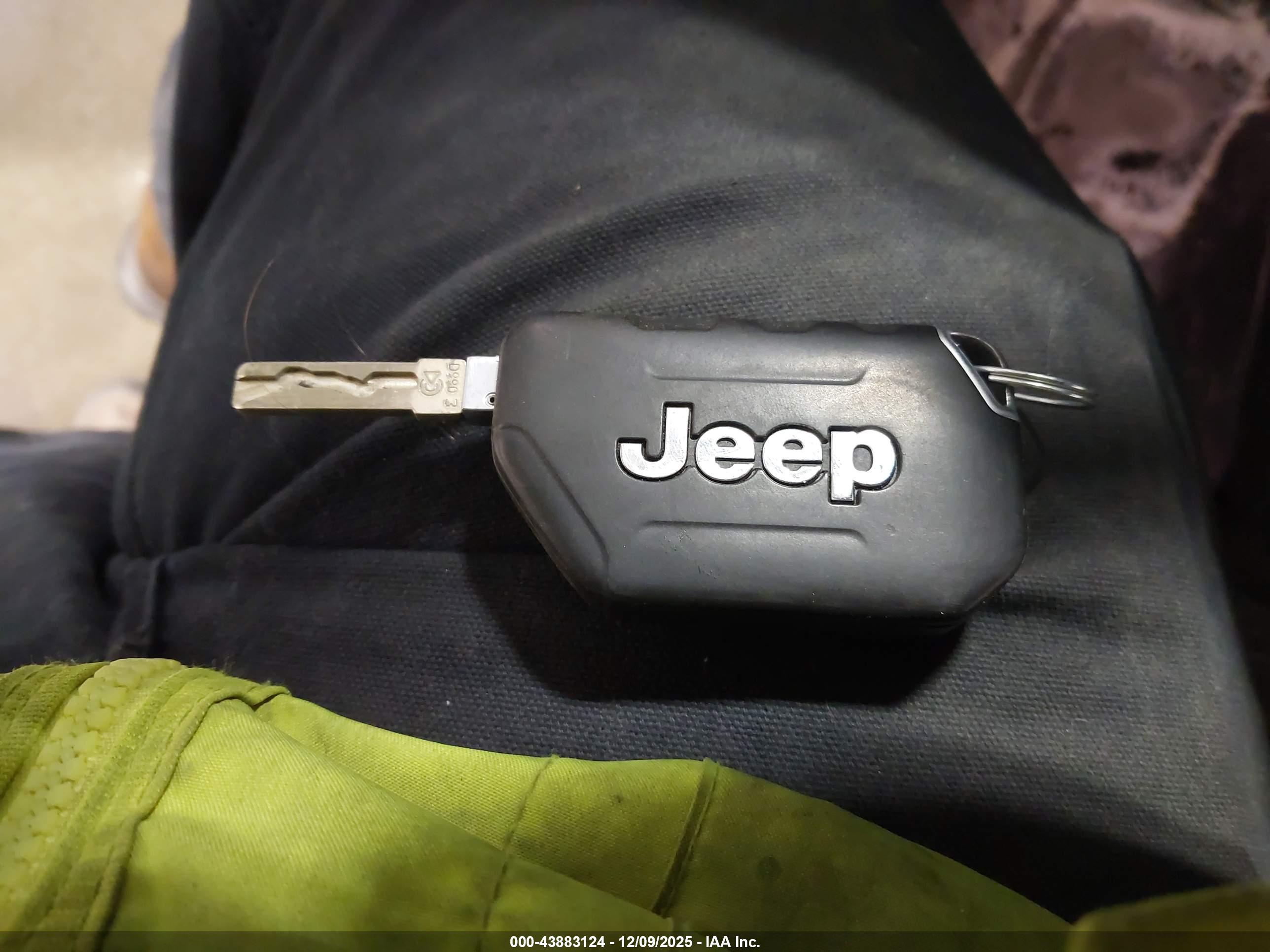 JEEP WRANGLER image 11
