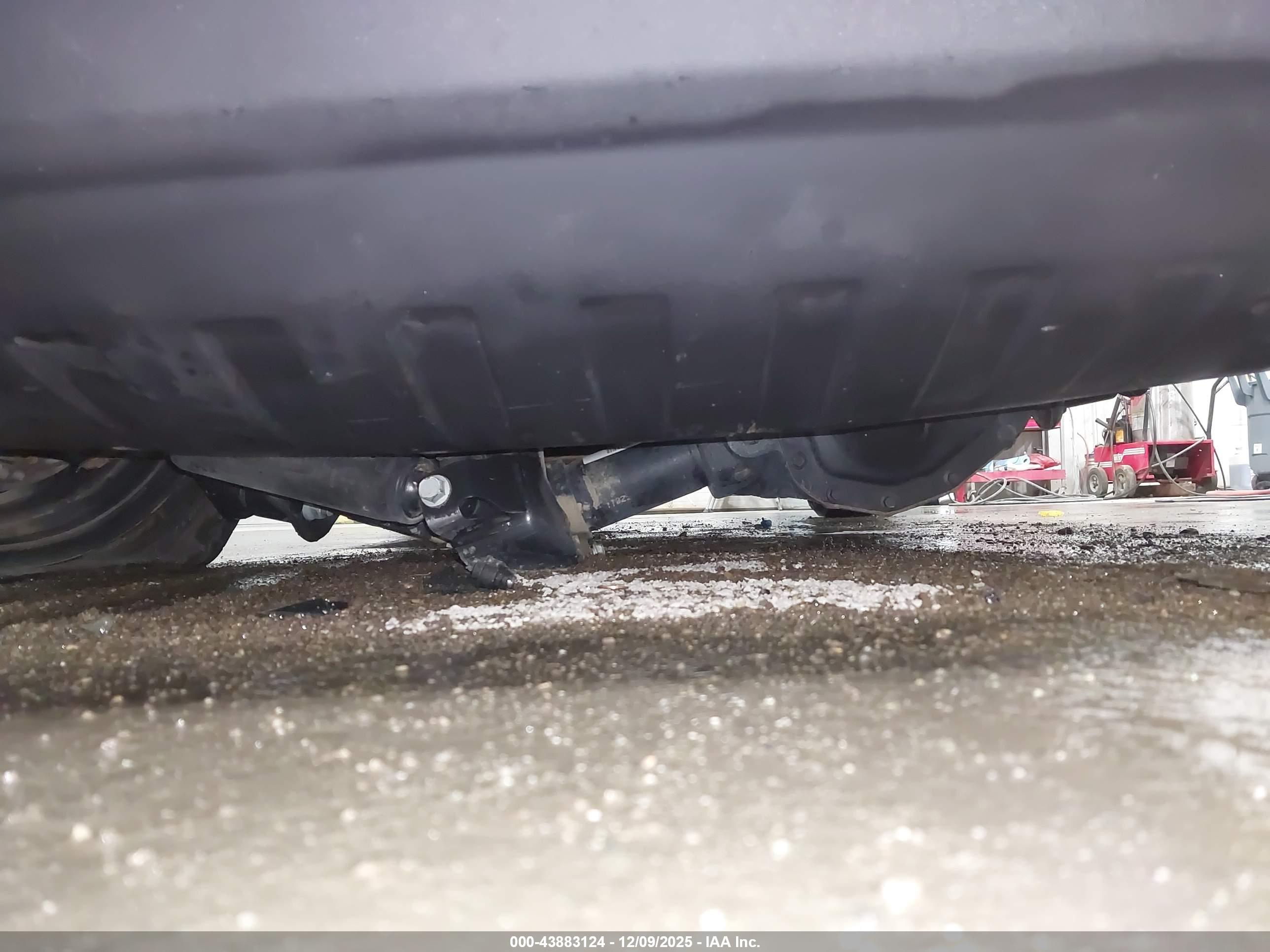 JEEP WRANGLER image 6