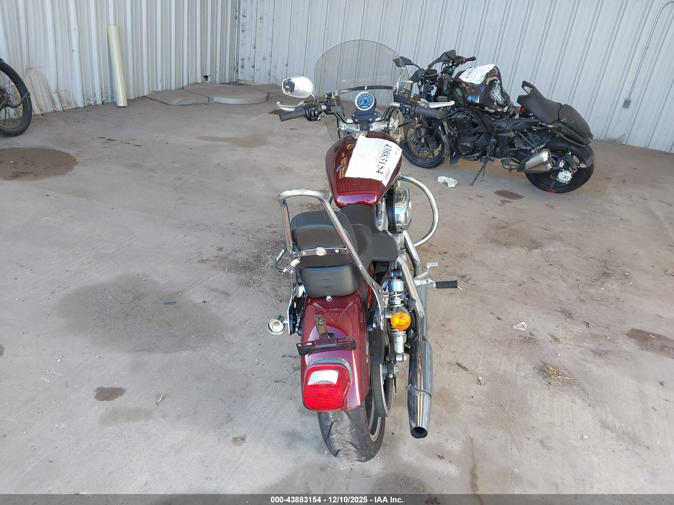 HARLEY-DAVIDSON XL883 image 6