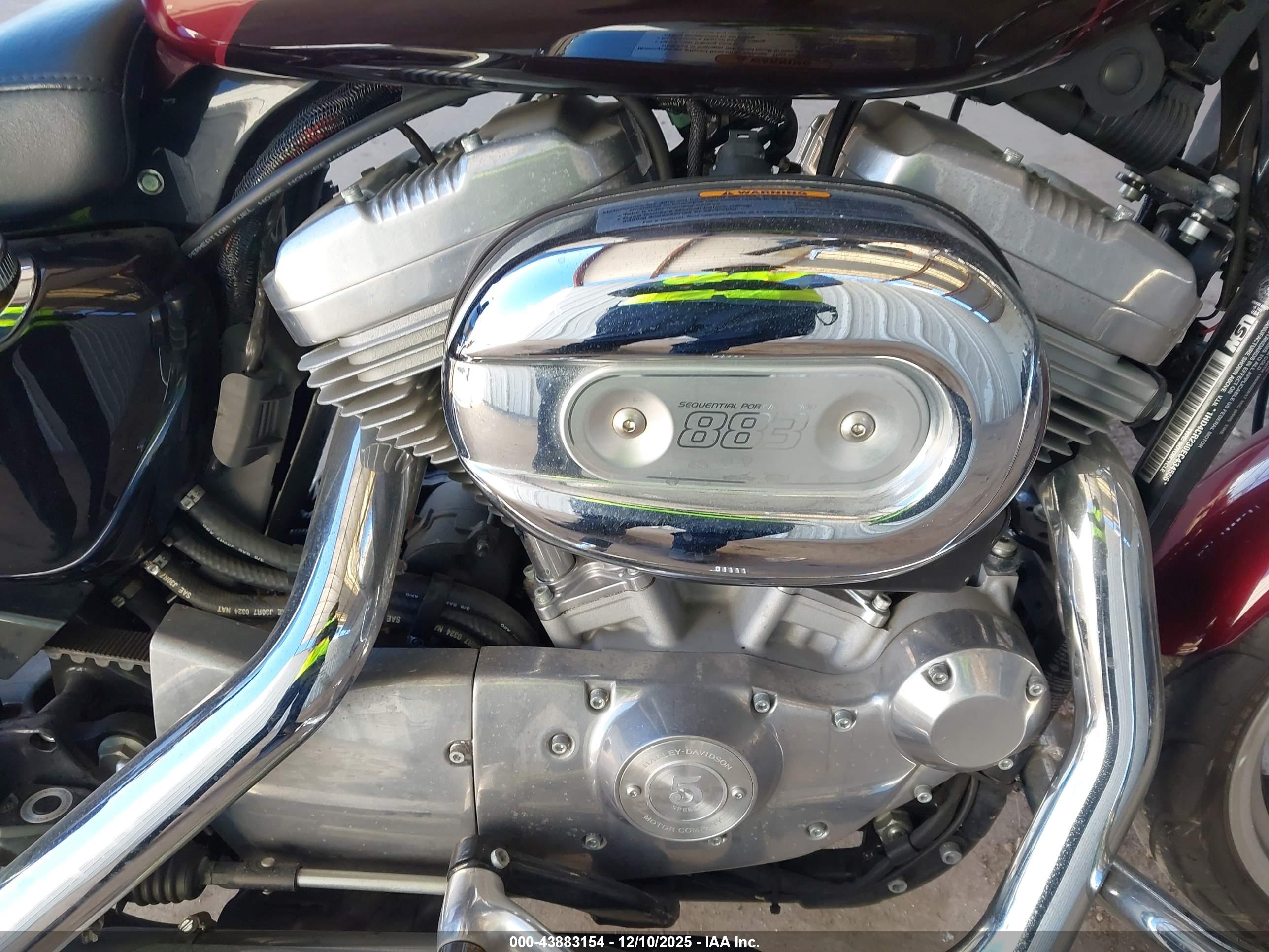 HARLEY-DAVIDSON XL883 image 8