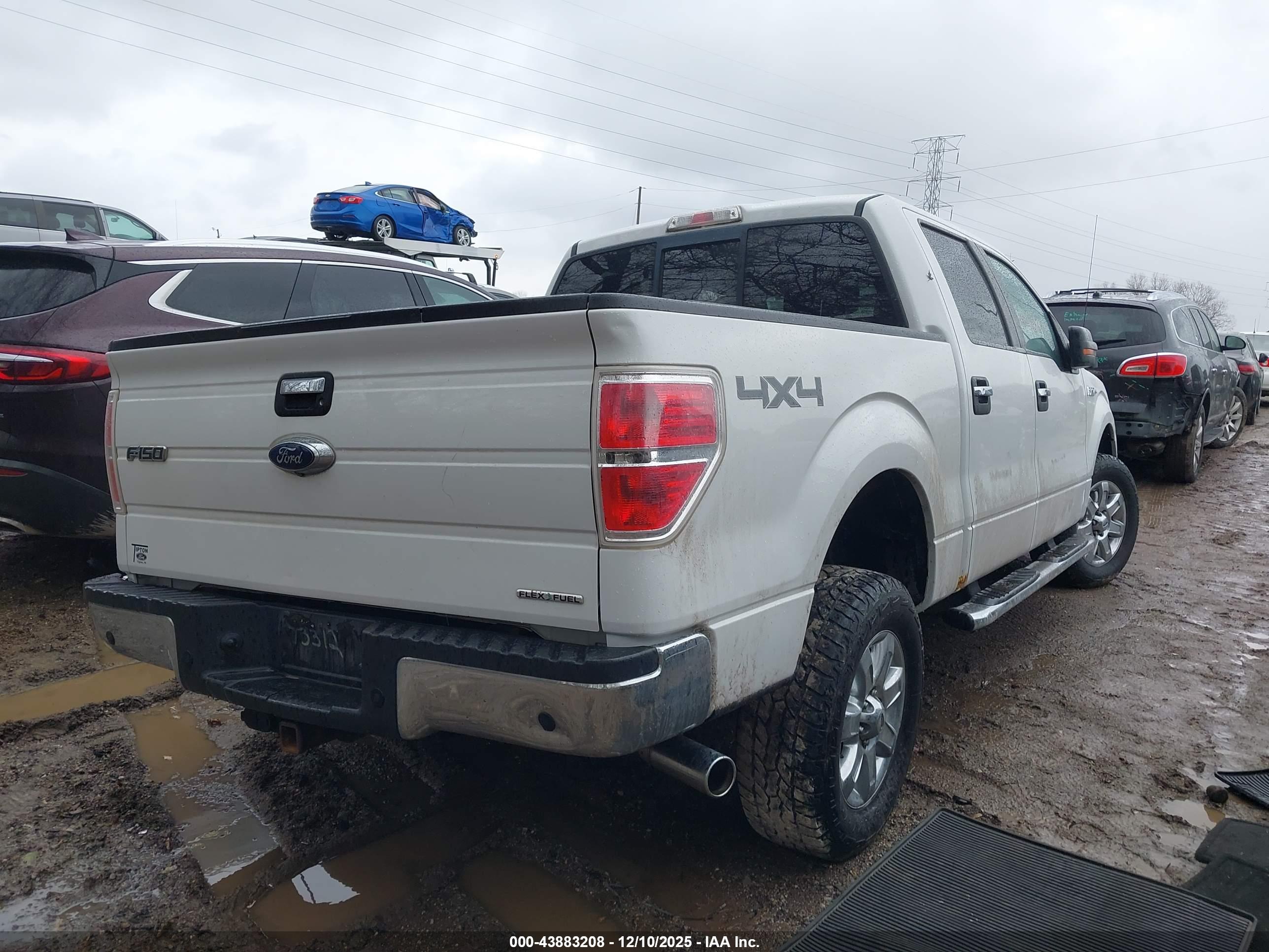 FORD F-150 image 4