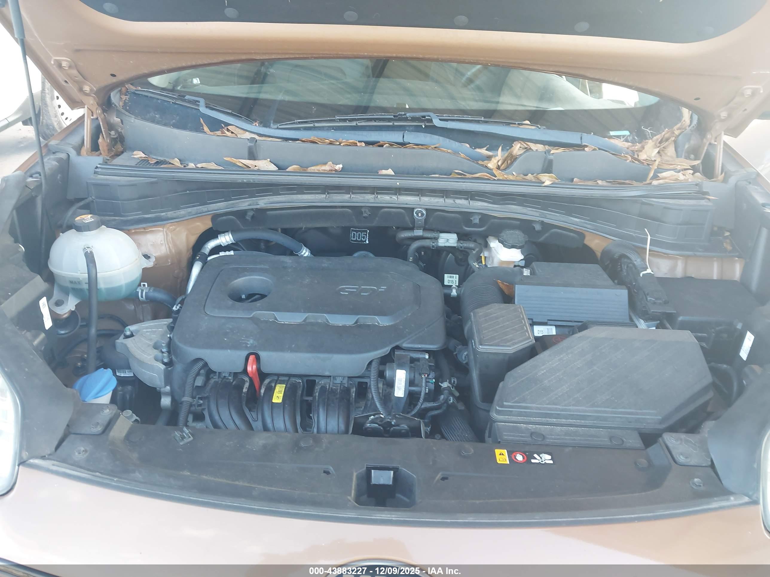 KIA SPORTAGE image 10