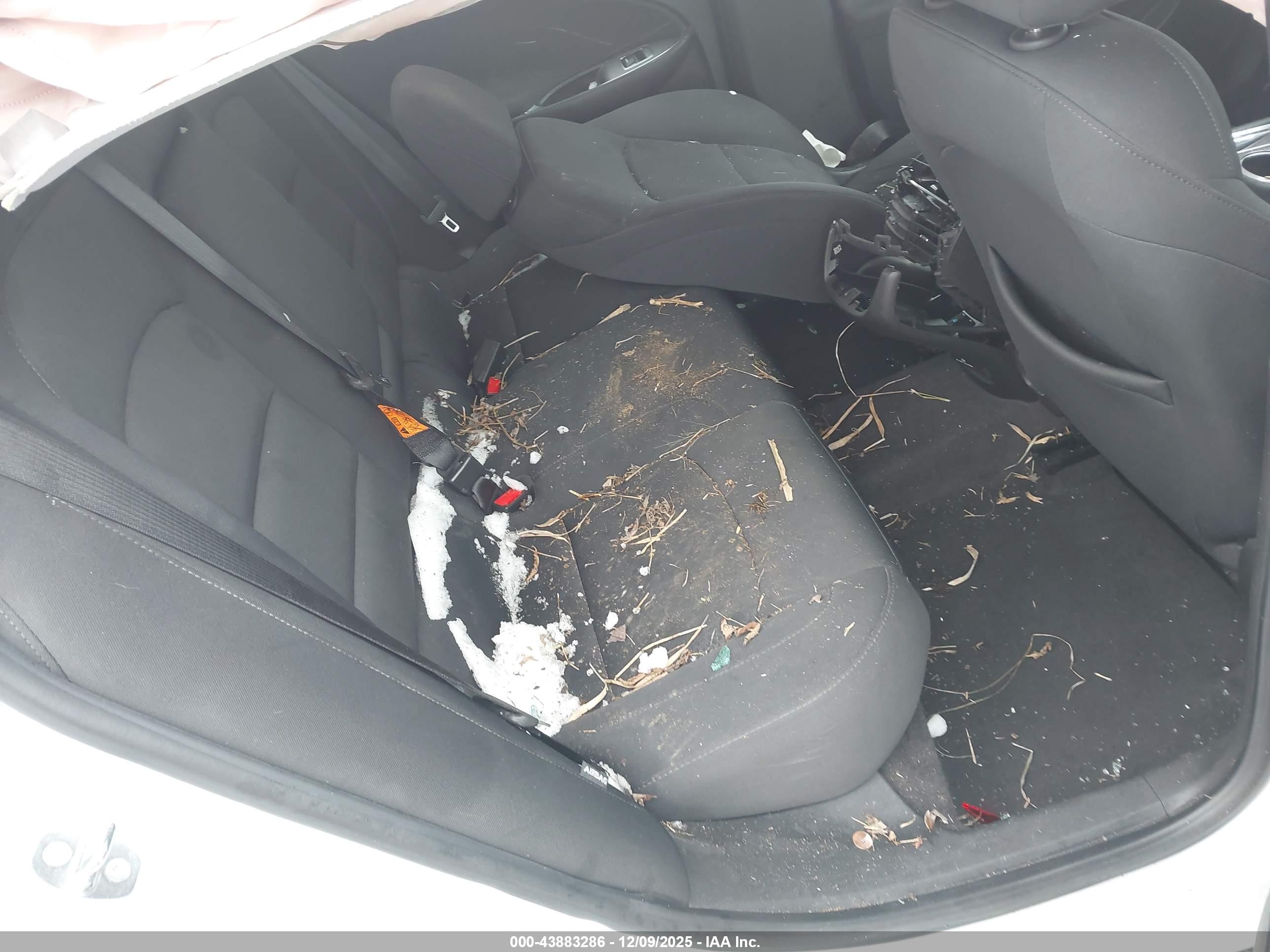 CHEVROLET MALIBU image 8