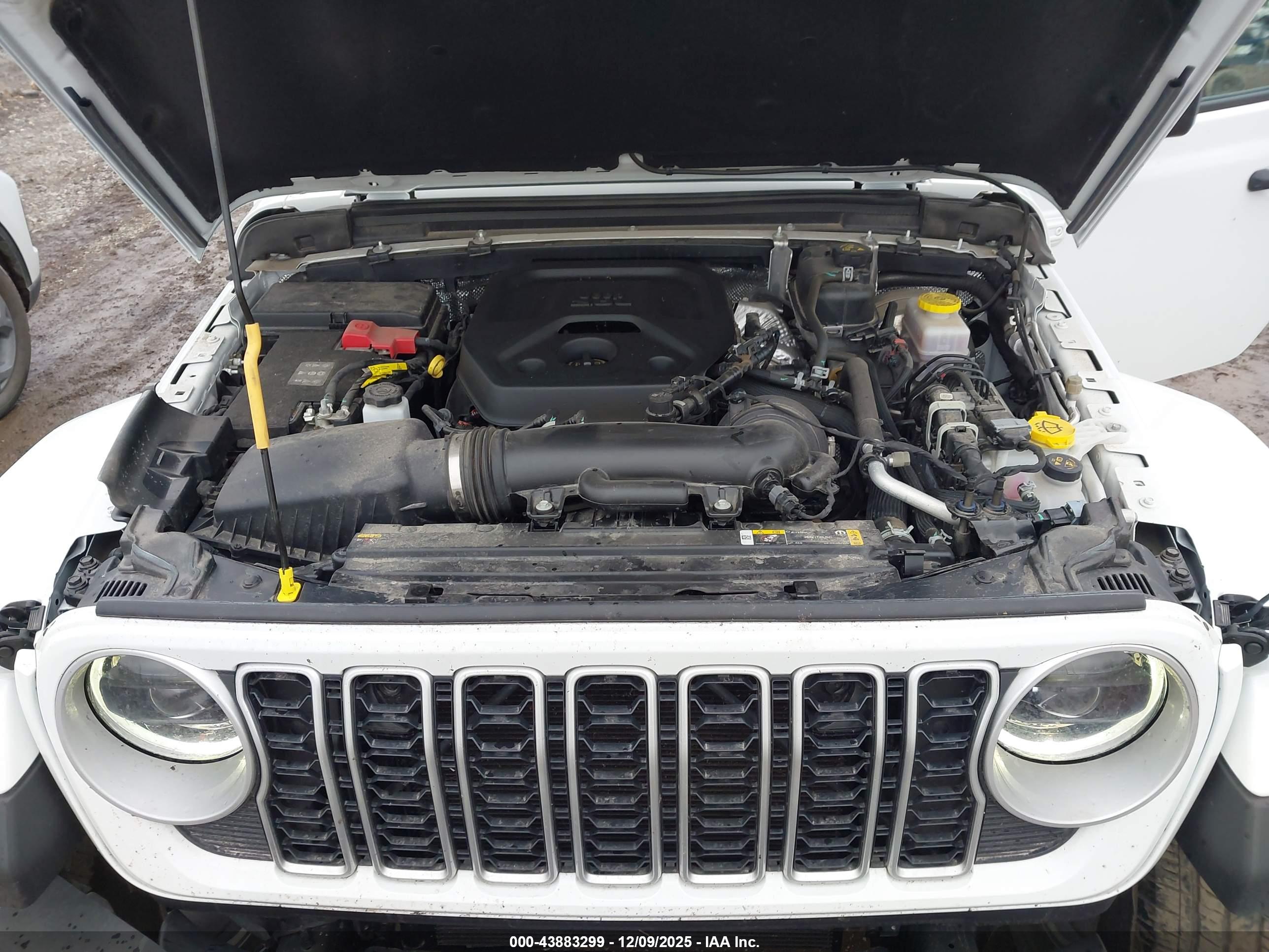 JEEP WRANGLER image 10