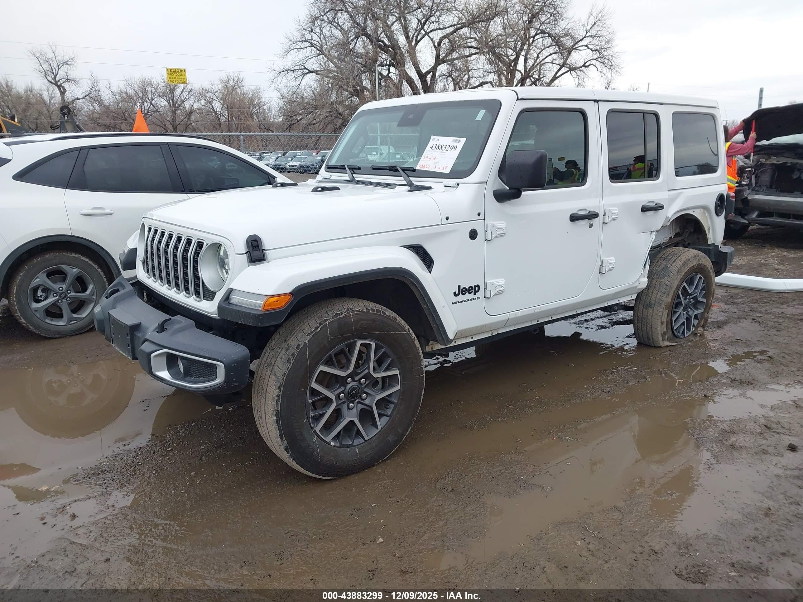 JEEP WRANGLER image 2