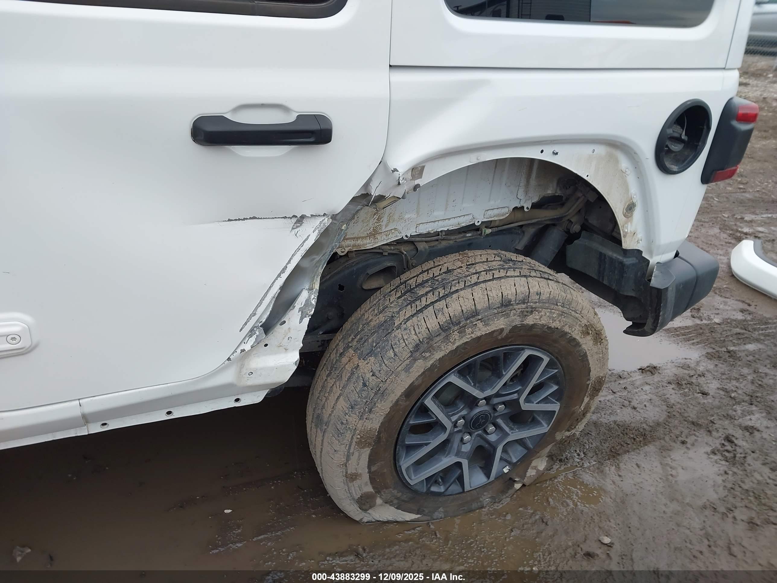JEEP WRANGLER image 6
