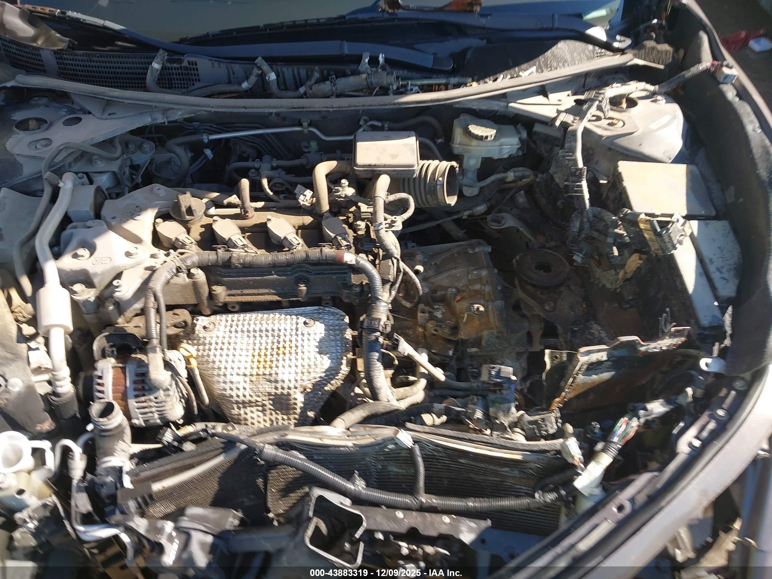 NISSAN ALTIMA image 10