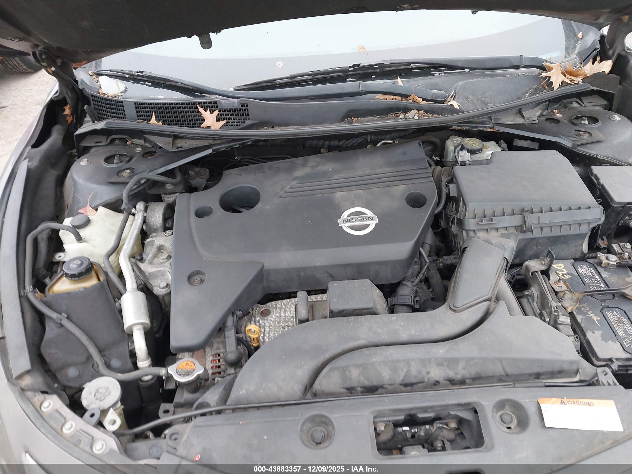 NISSAN ALTIMA image 10
