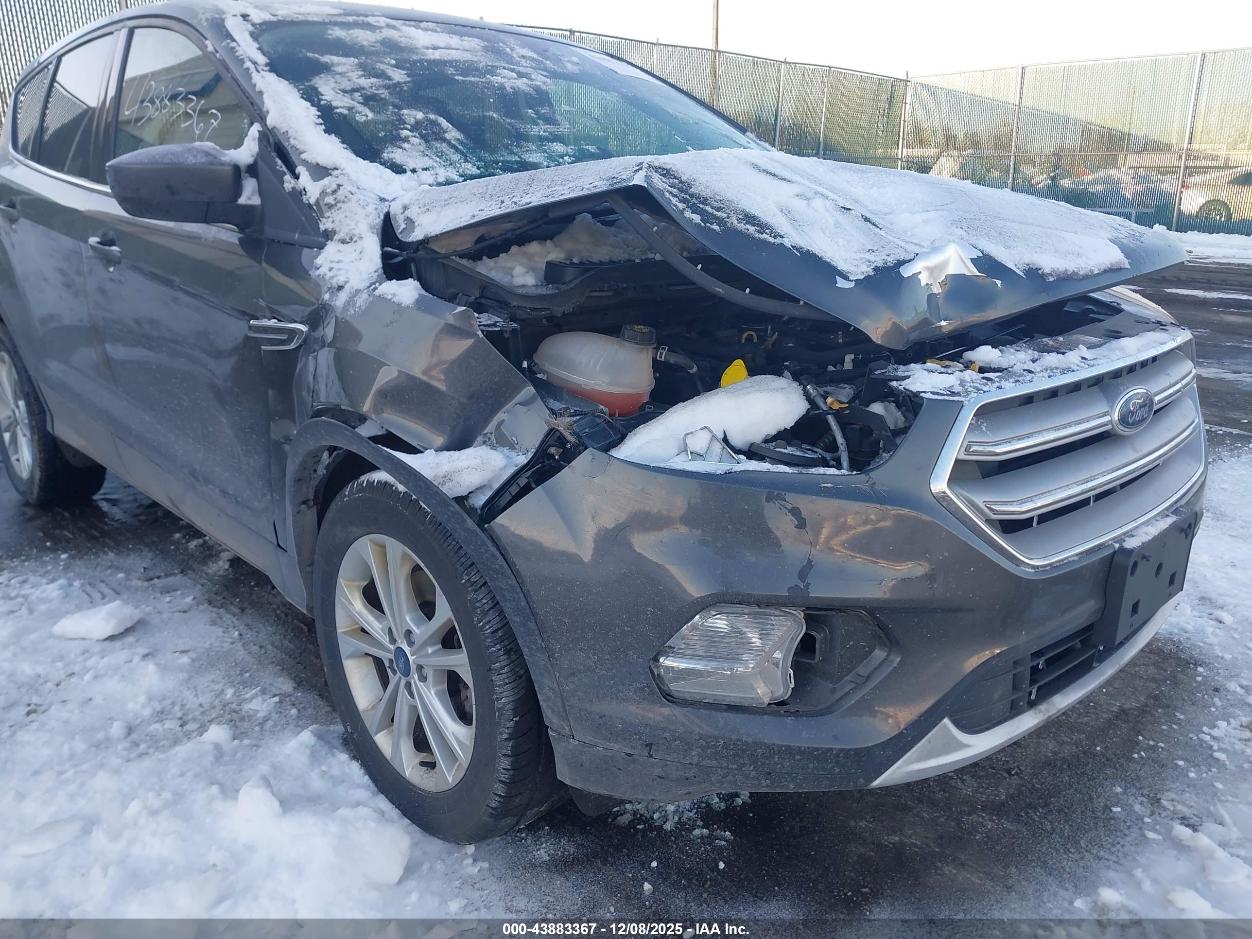 FORD ESCAPE image 6