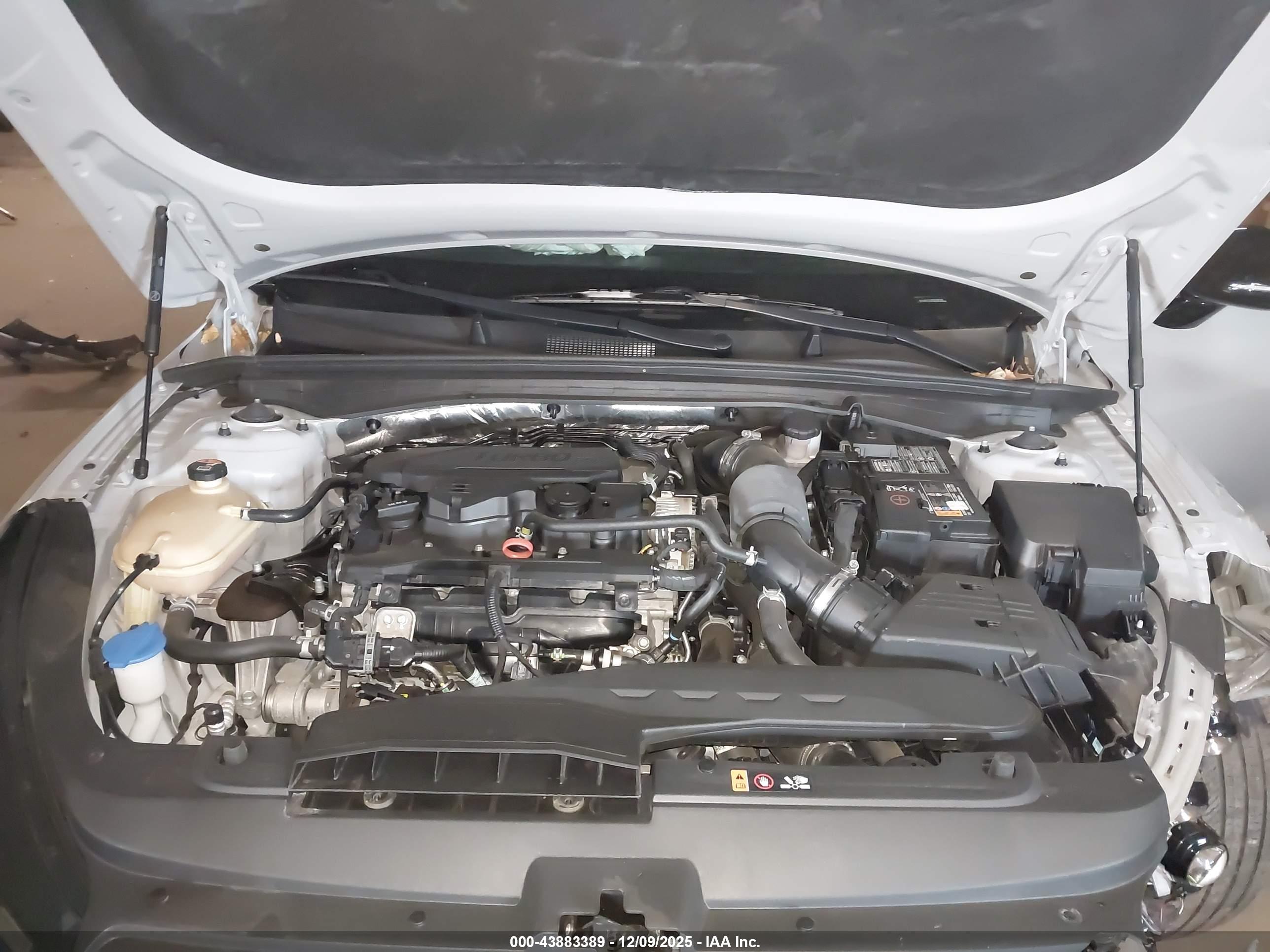 KIA K5 image 10