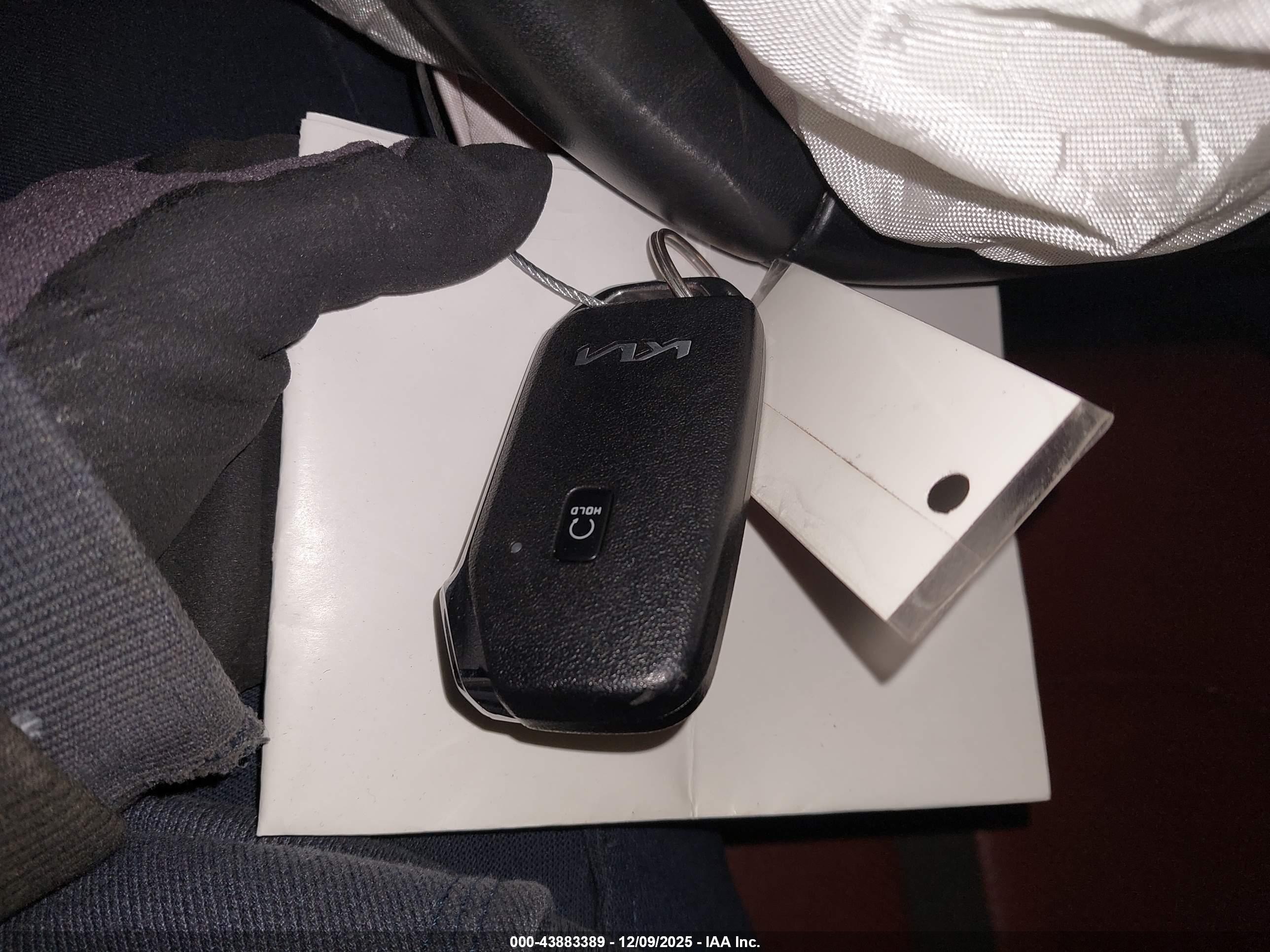 KIA K5 image 11