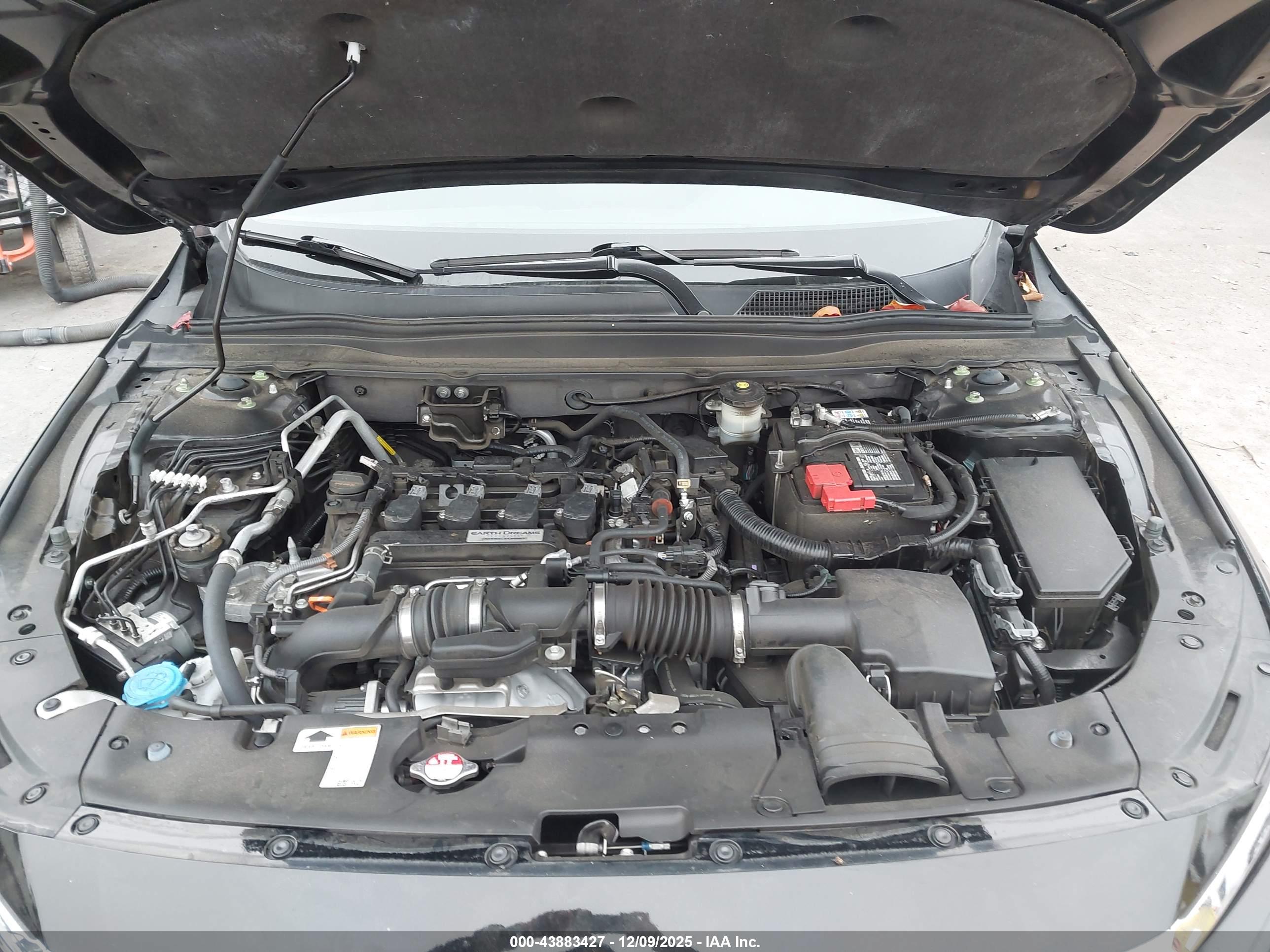 HONDA ACCORD image 10