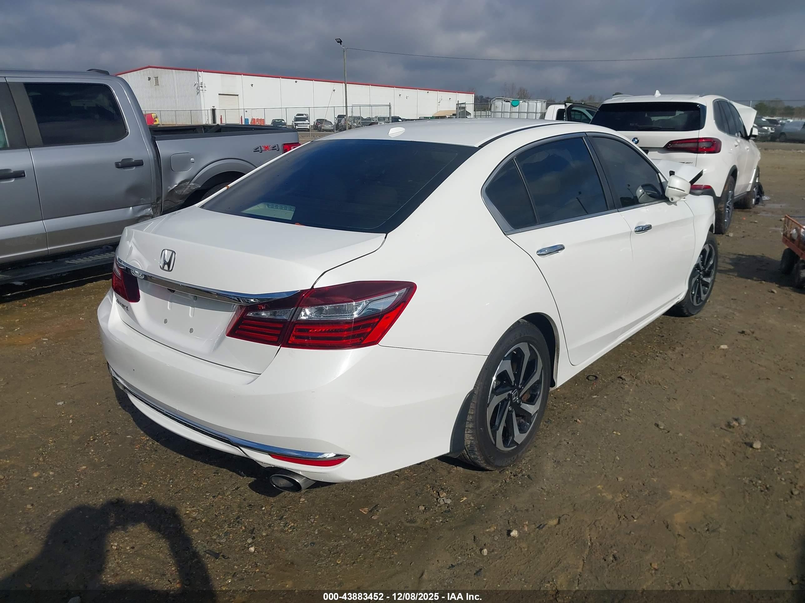 HONDA ACCORD image 4