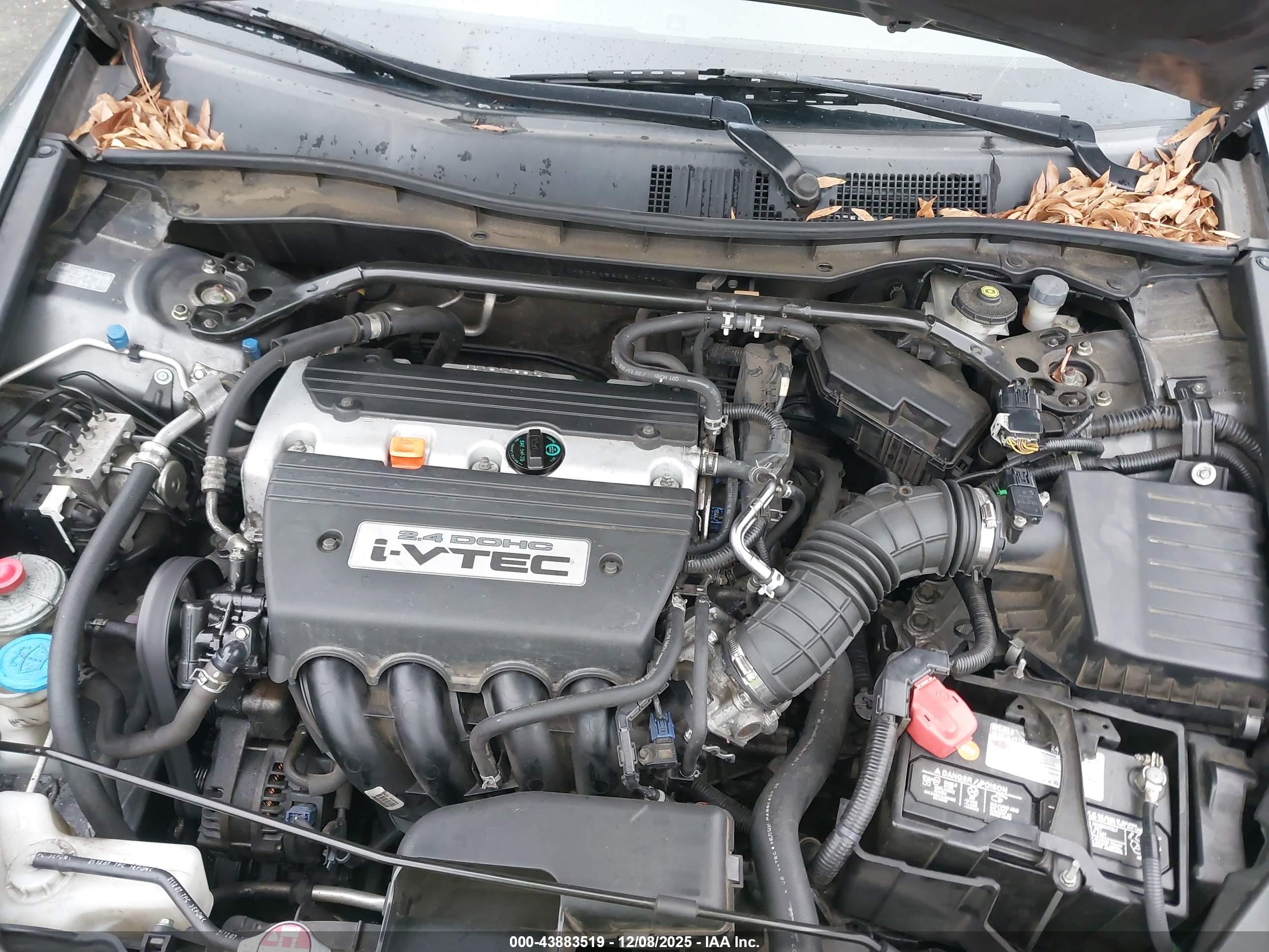 HONDA ACCORD image 10