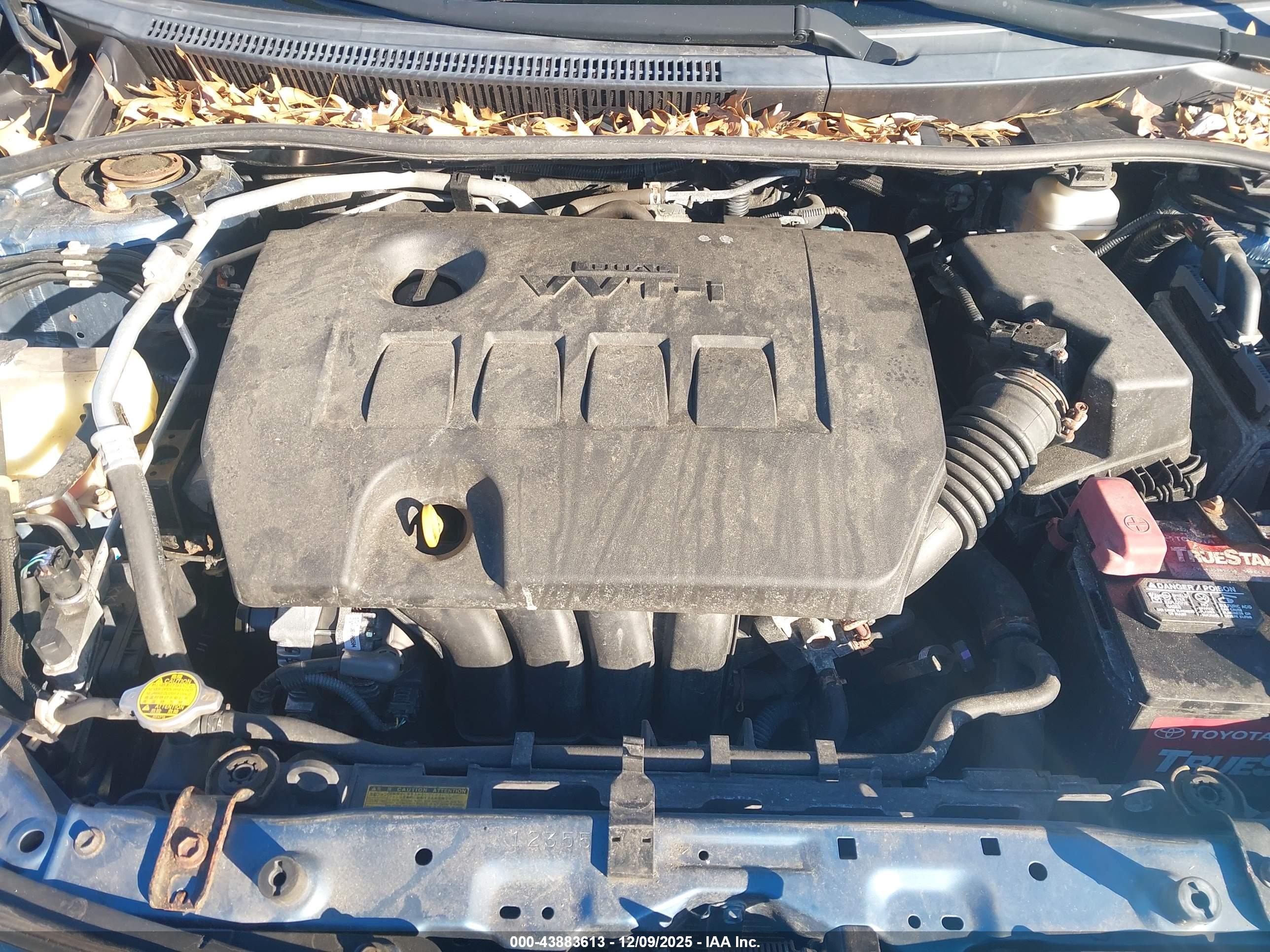 TOYOTA COROLLA image 10