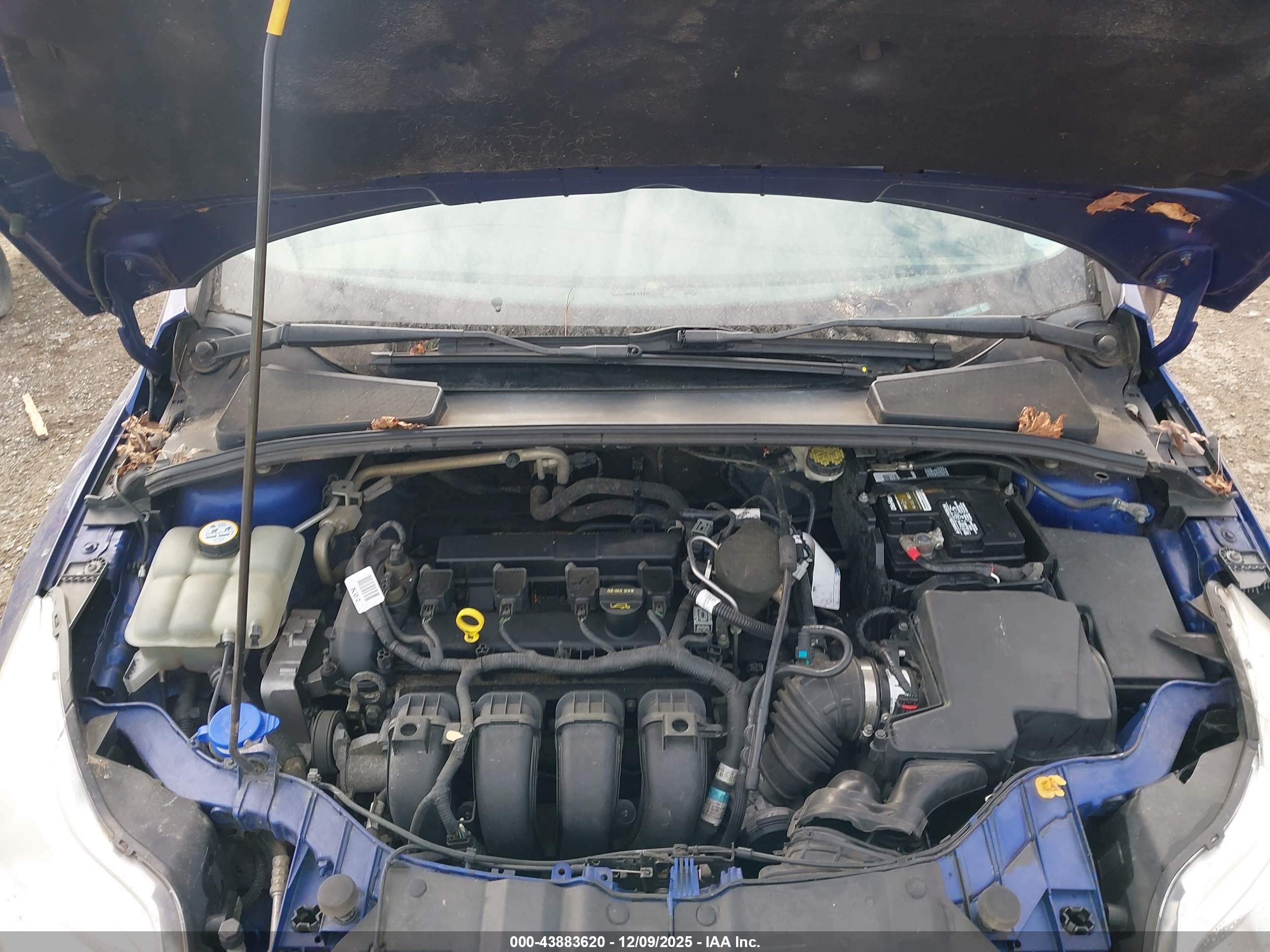 FORD FOCUS image 10