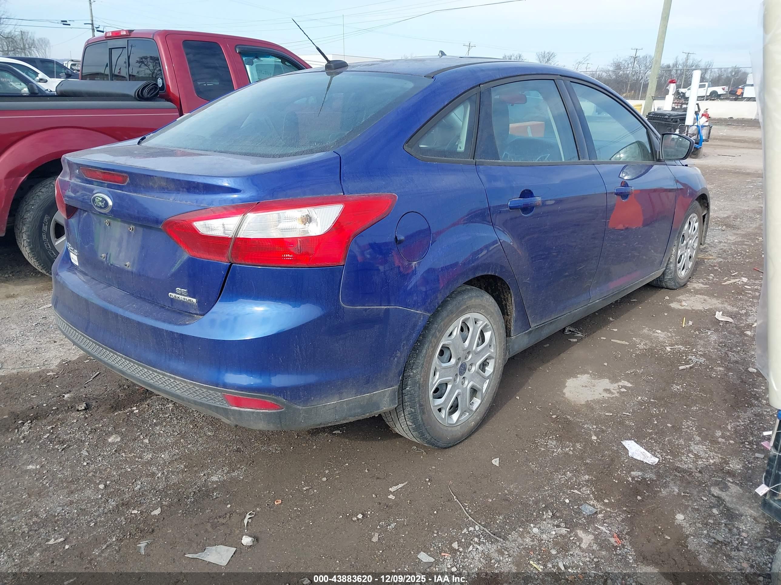FORD FOCUS image 4
