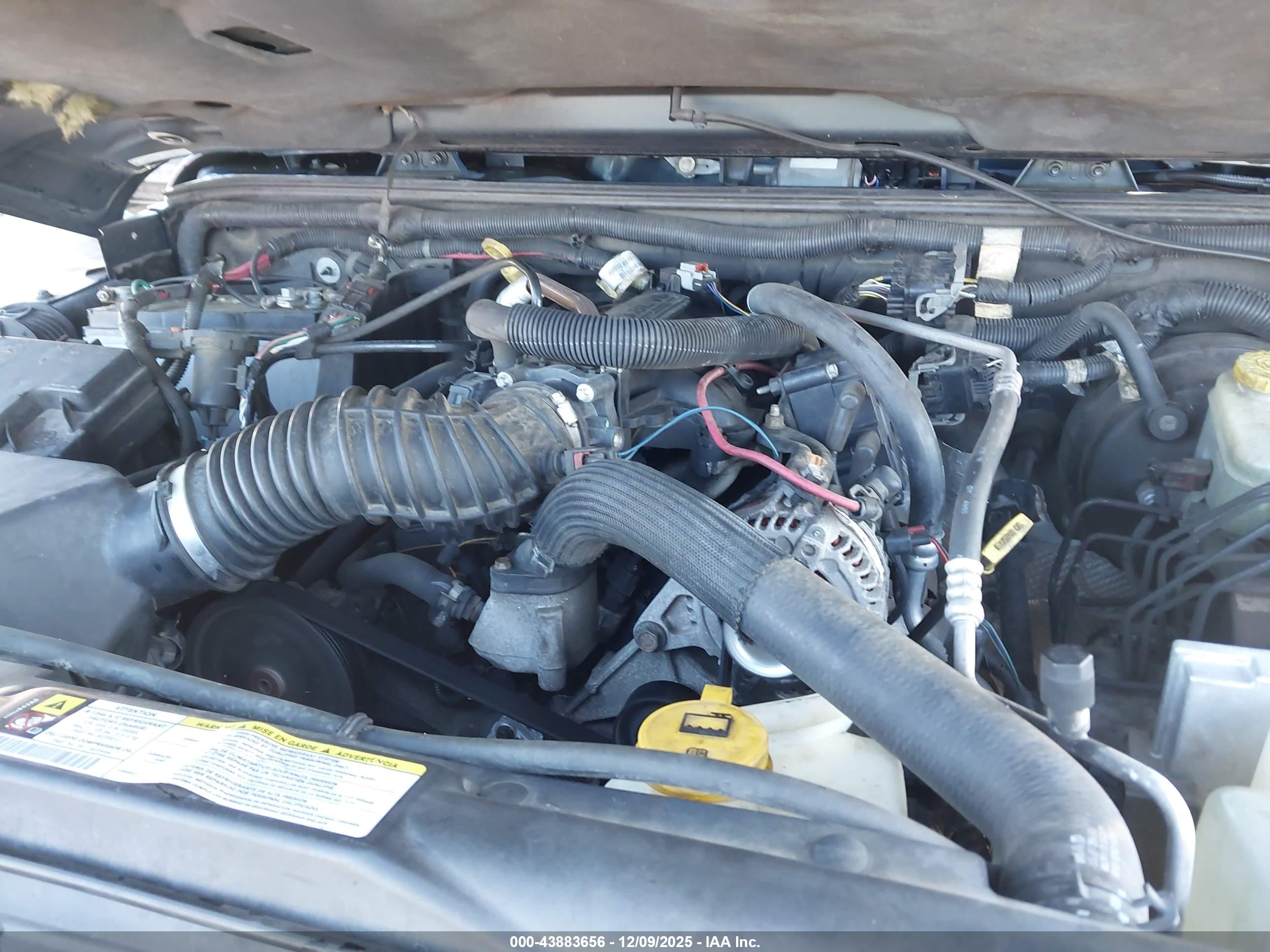 JEEP WRANGLER image 10